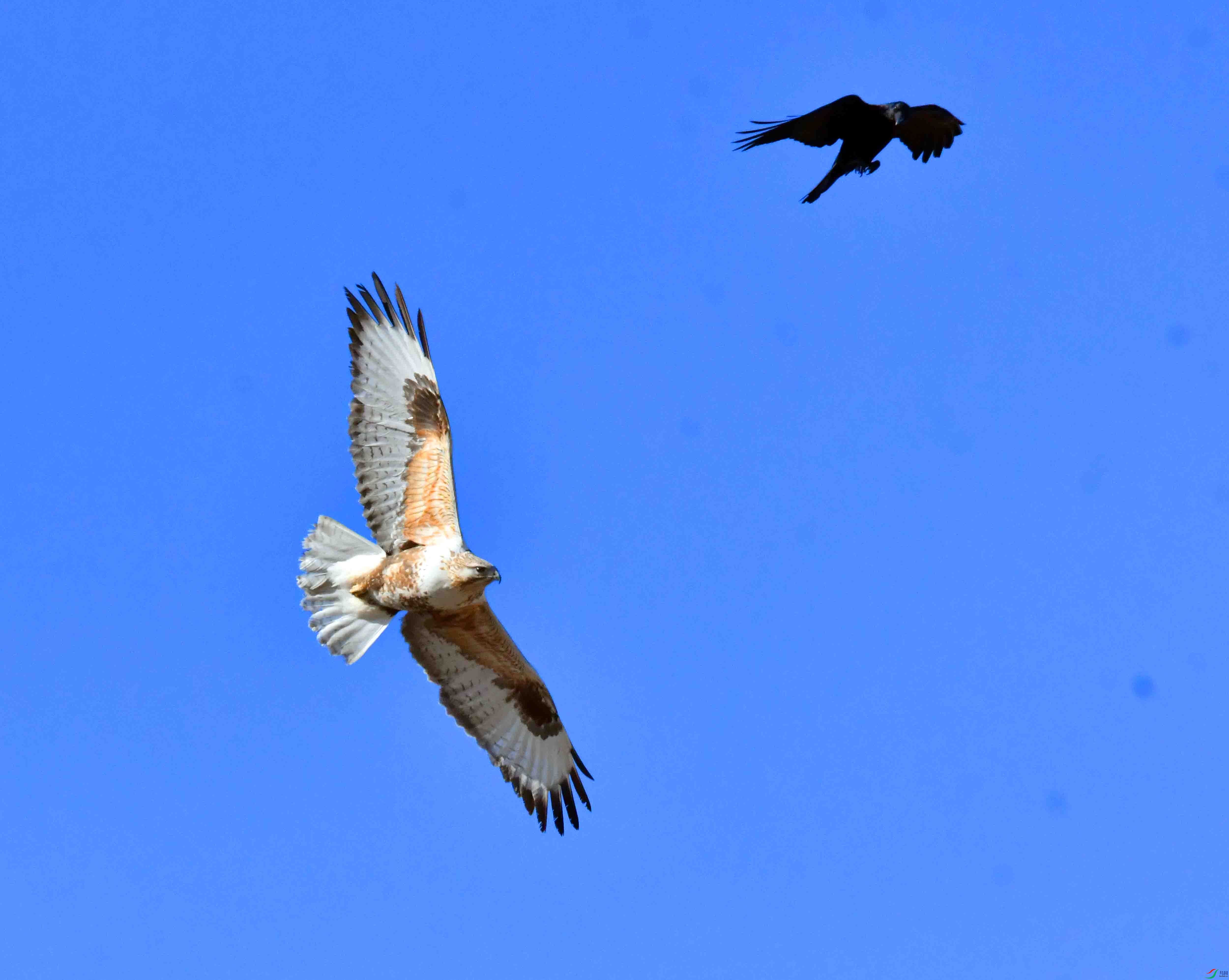 DSC_5289.JPG