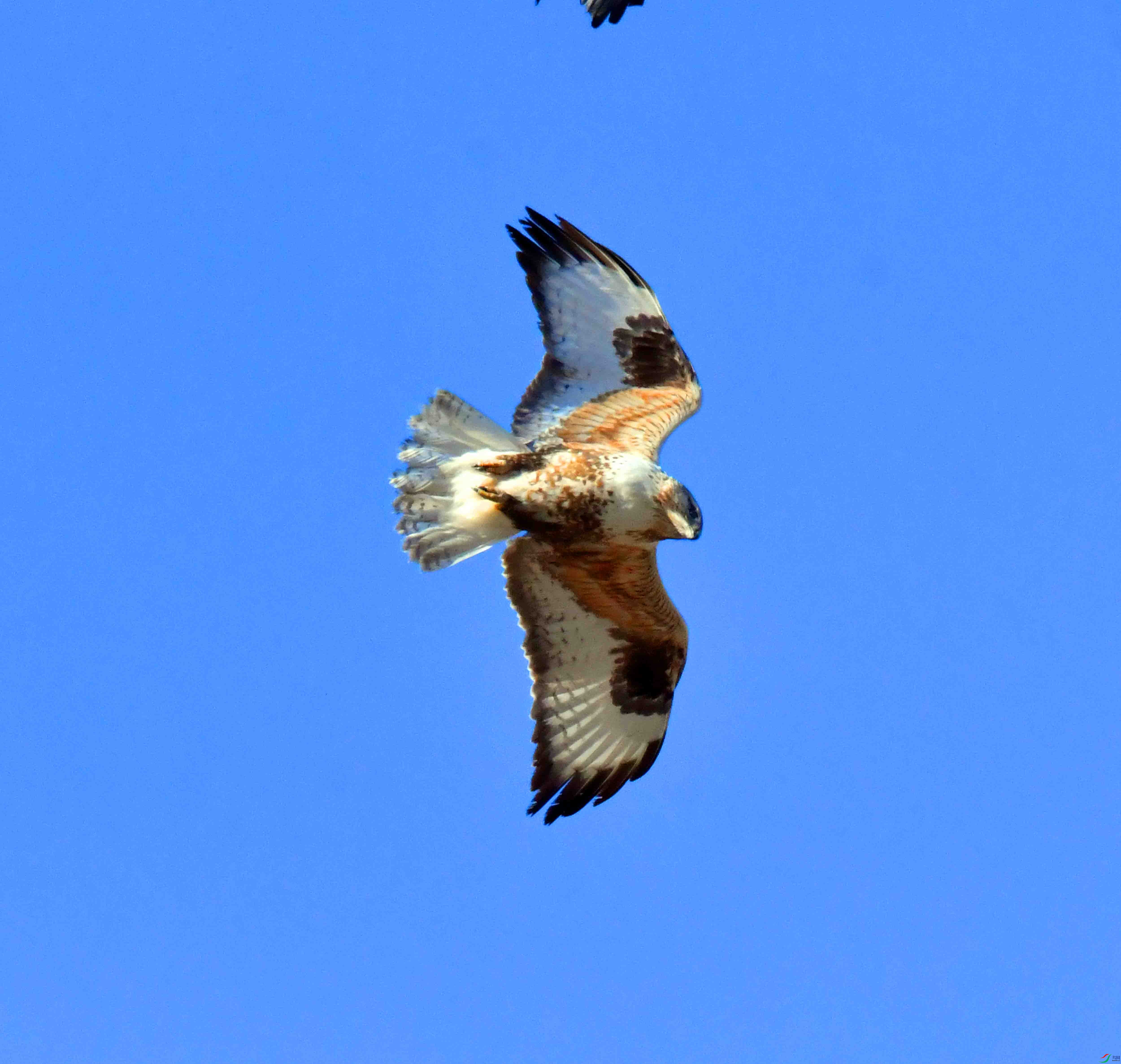 DSC_5291.JPG
