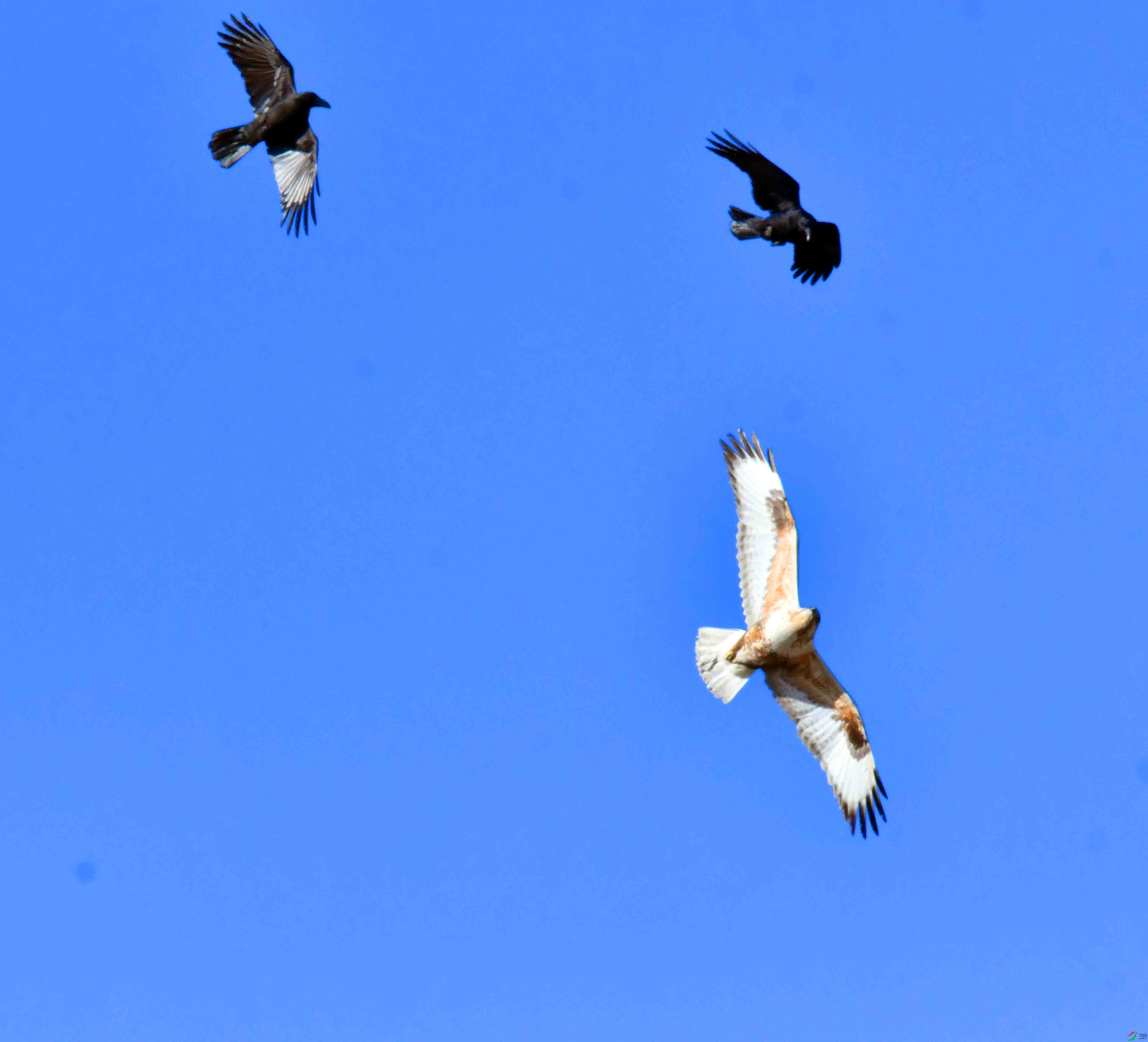 DSC_5293.JPG