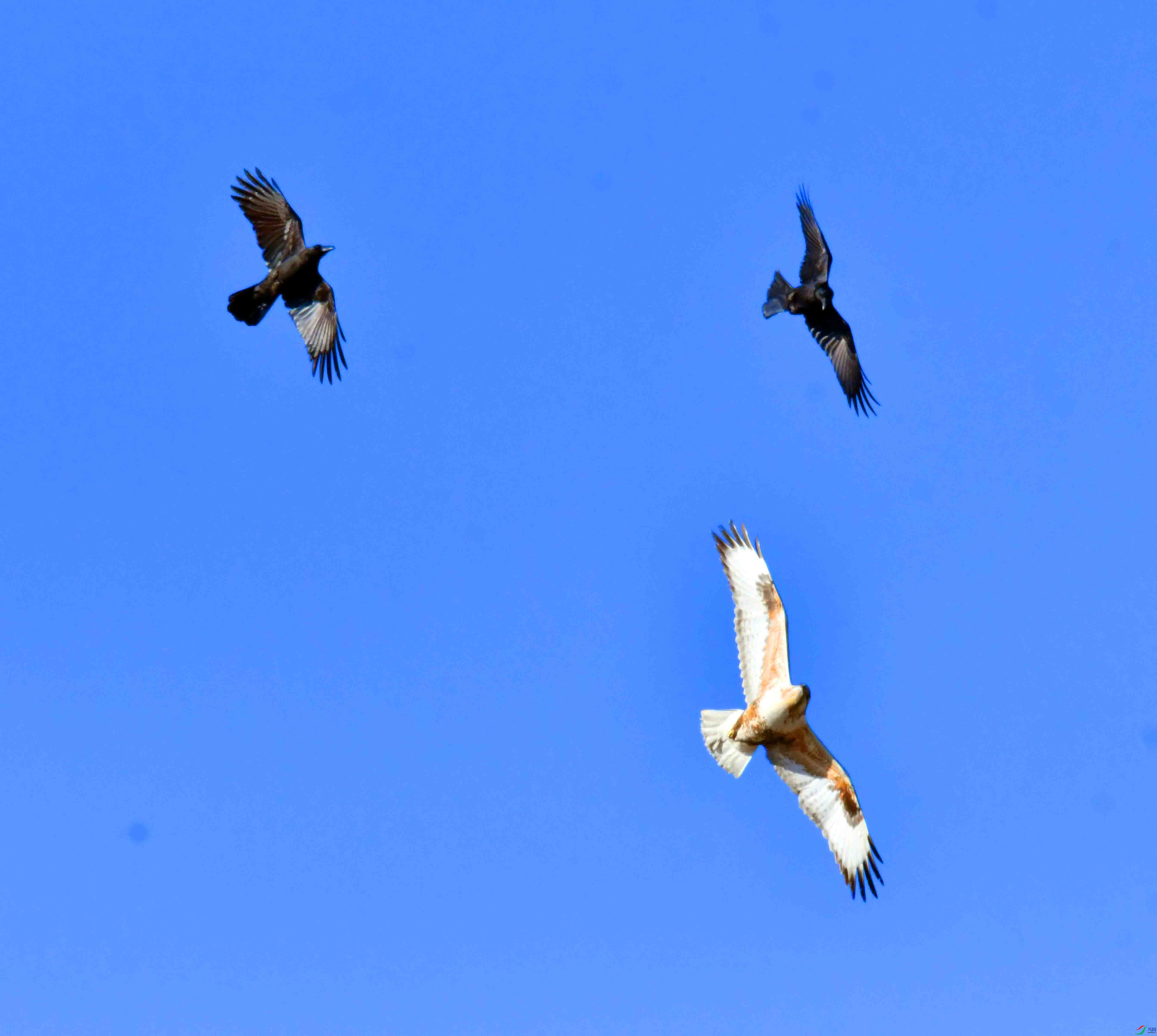 DSC_5292.JPG