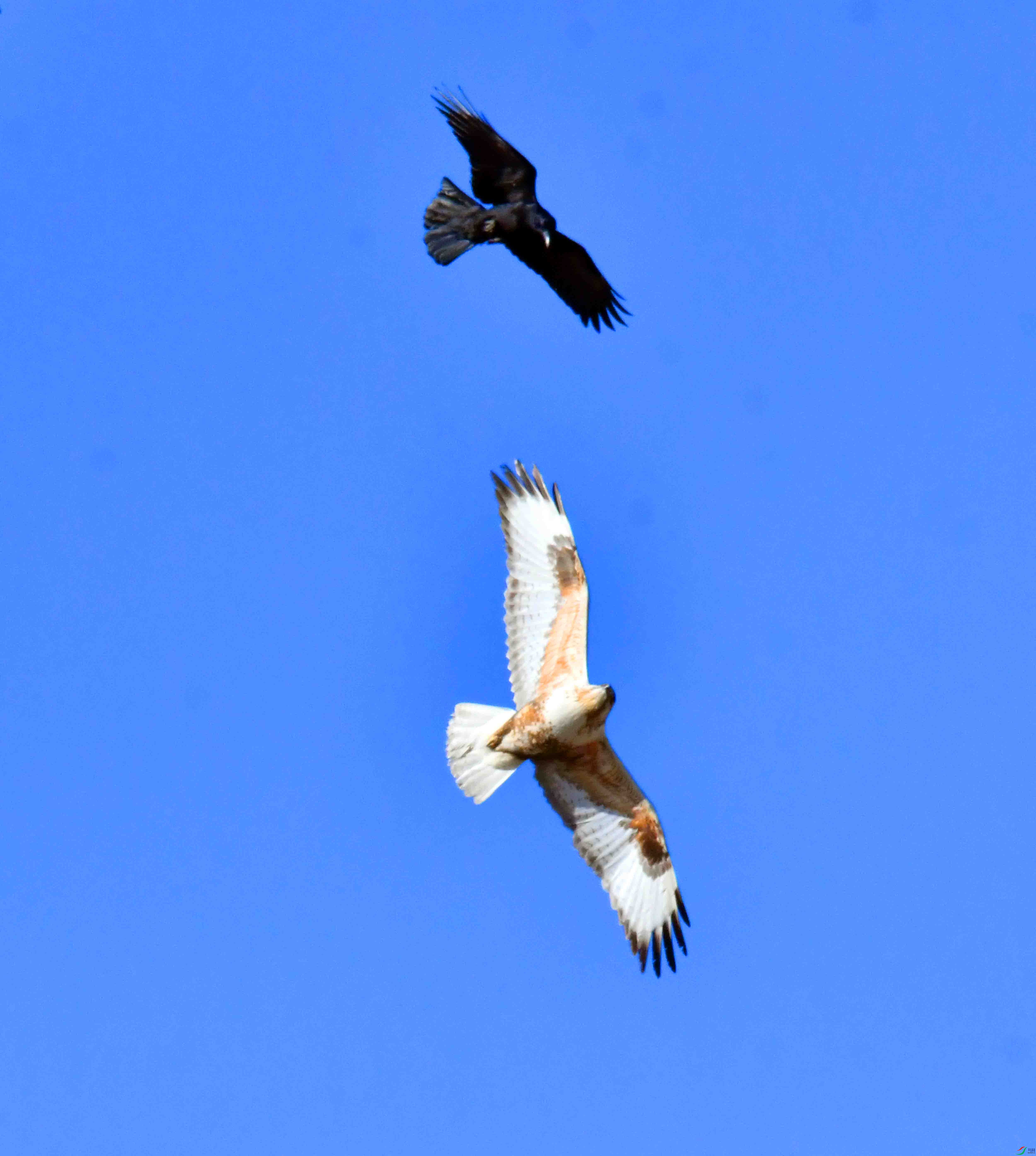 DSC_5294.JPG