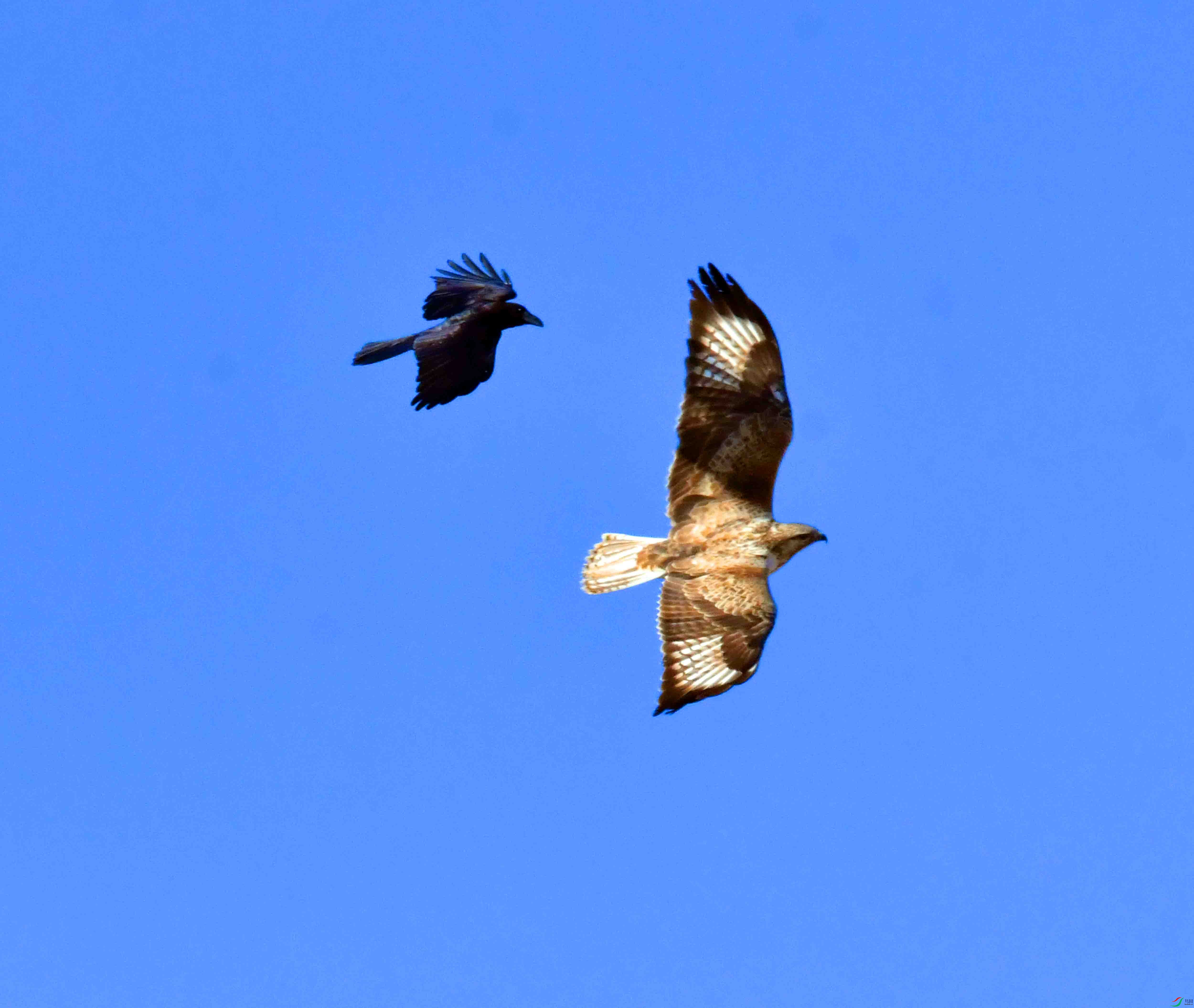 DSC_5297.JPG