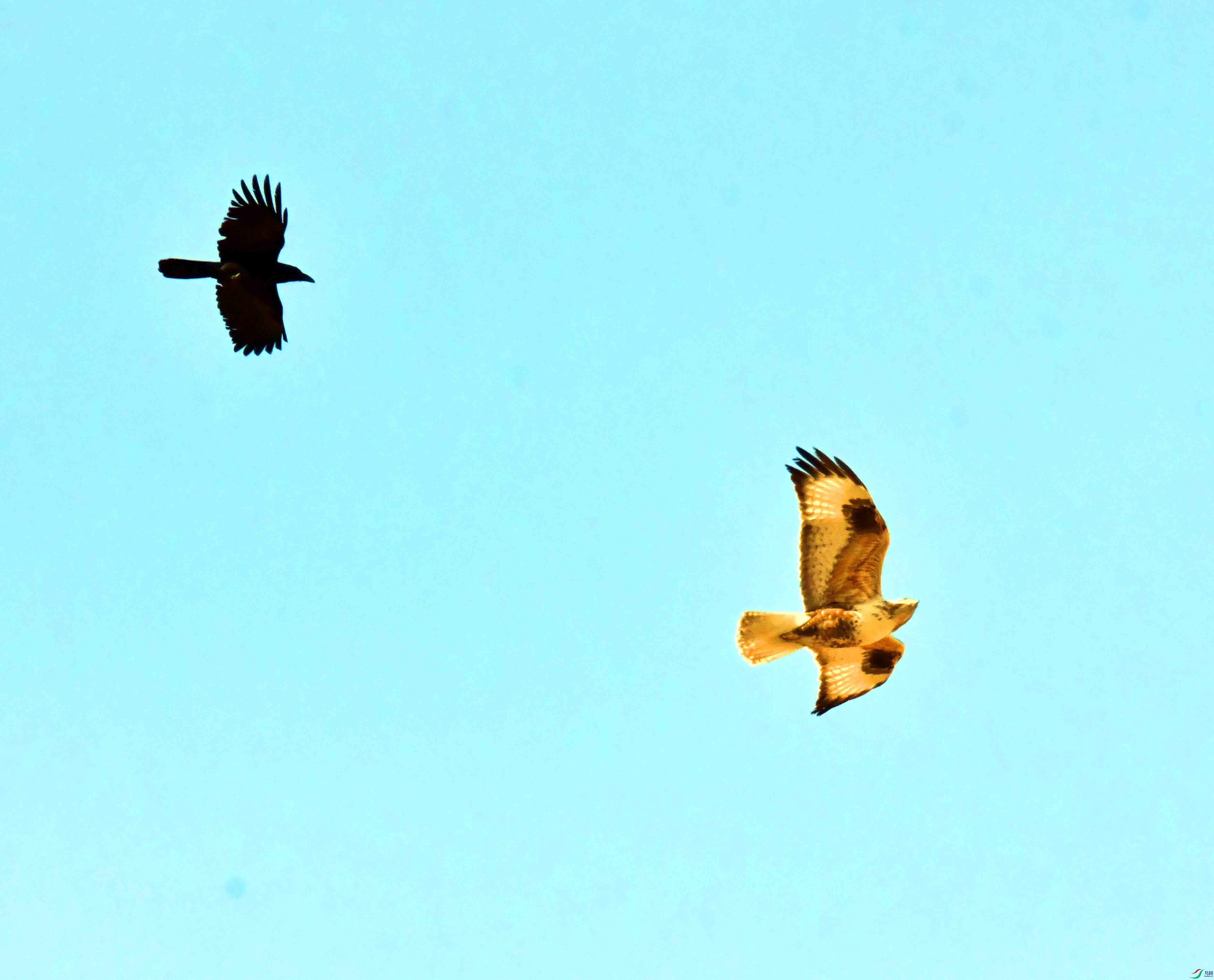 DSC_5295.JPG