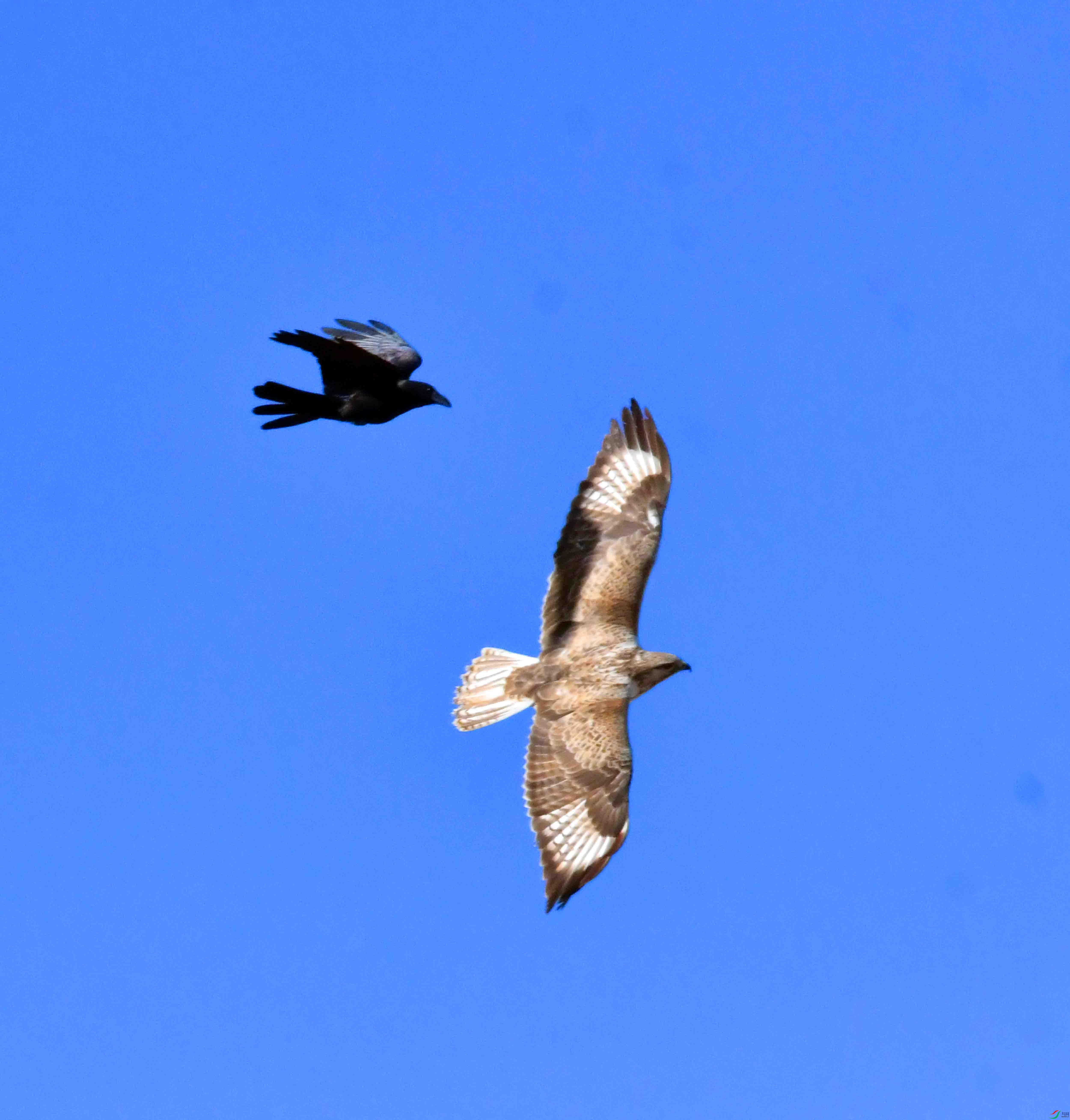 DSC_5298.JPG