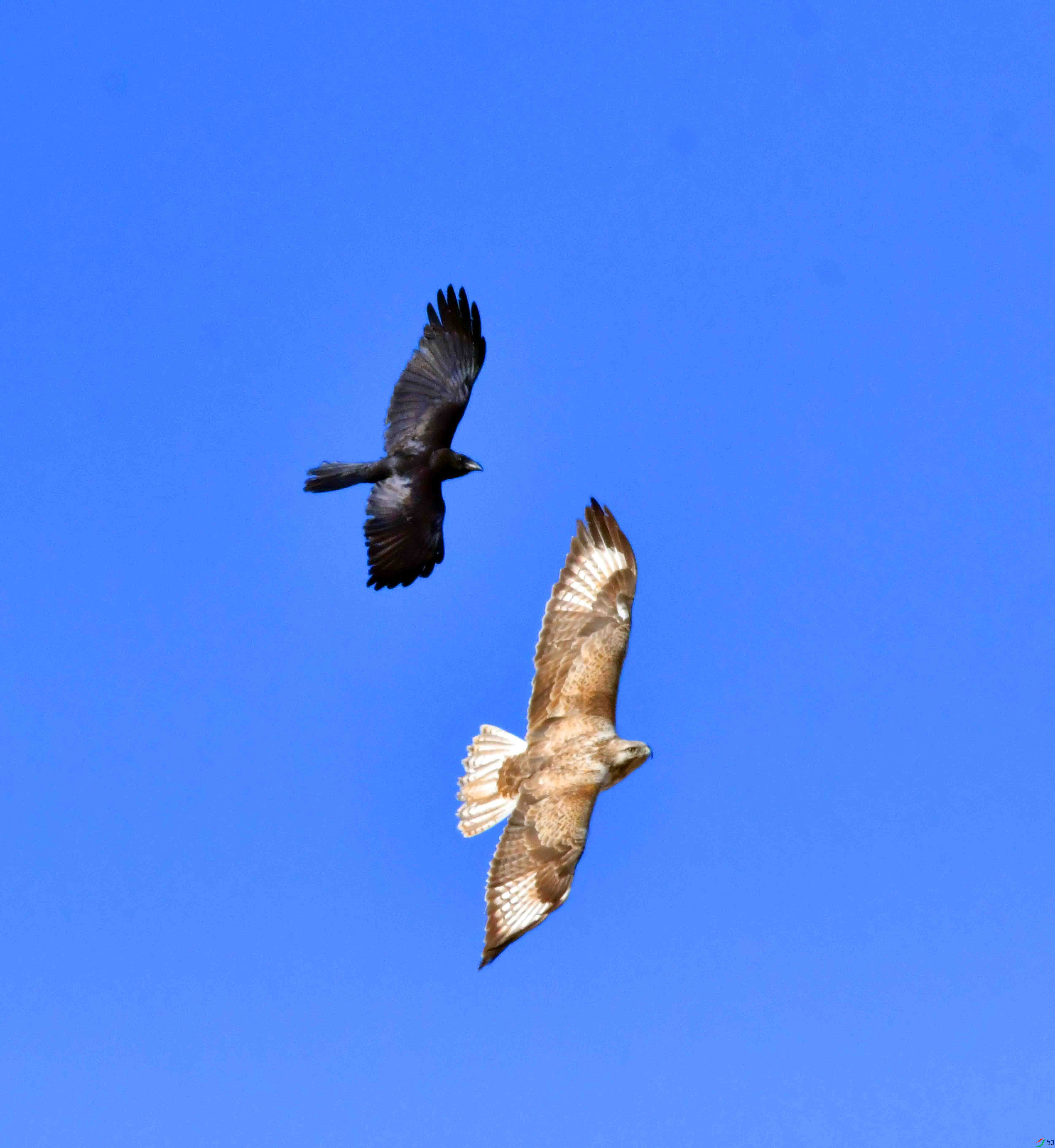 DSC_5299.JPG
