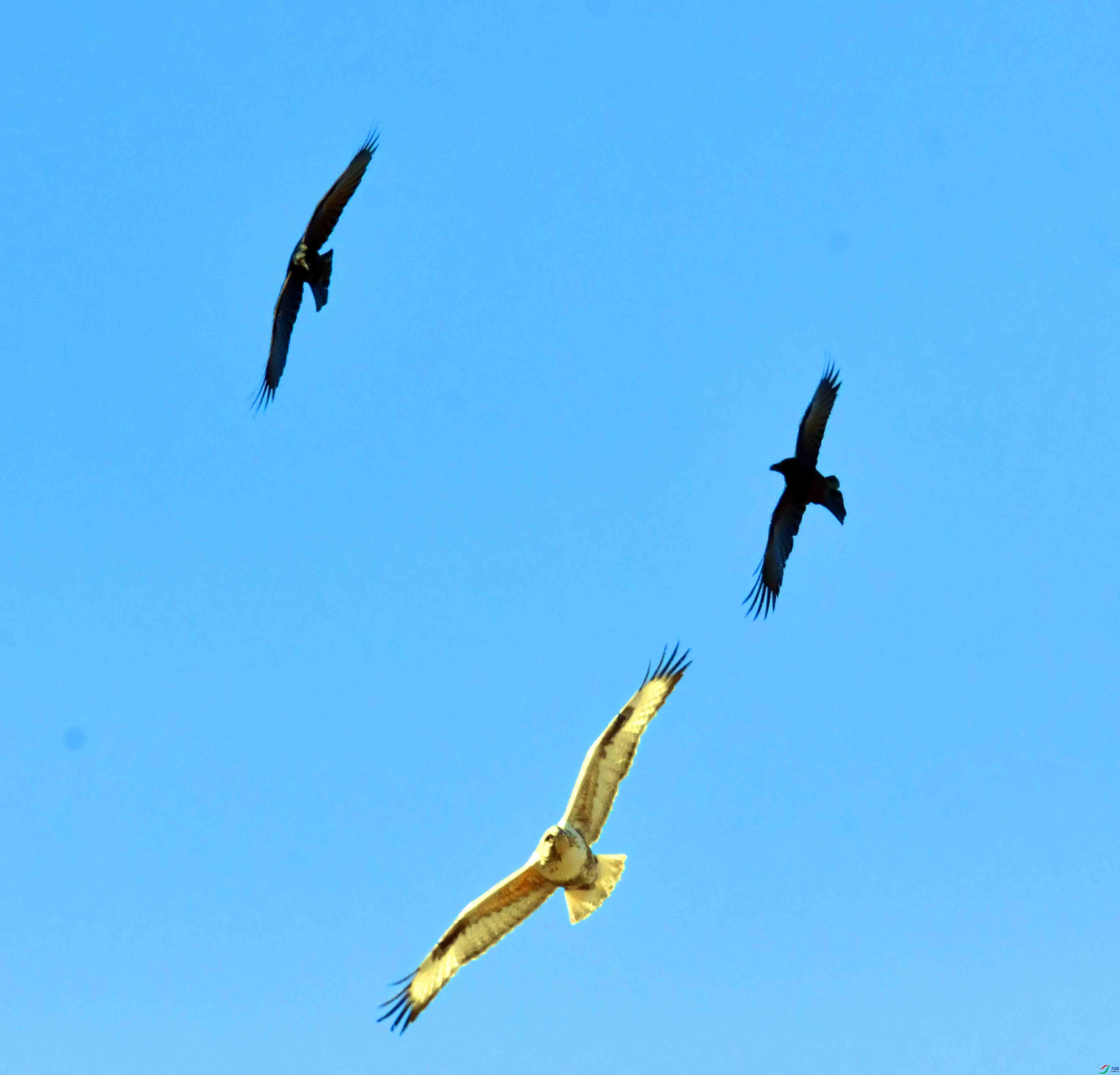 DSC_5300.JPG