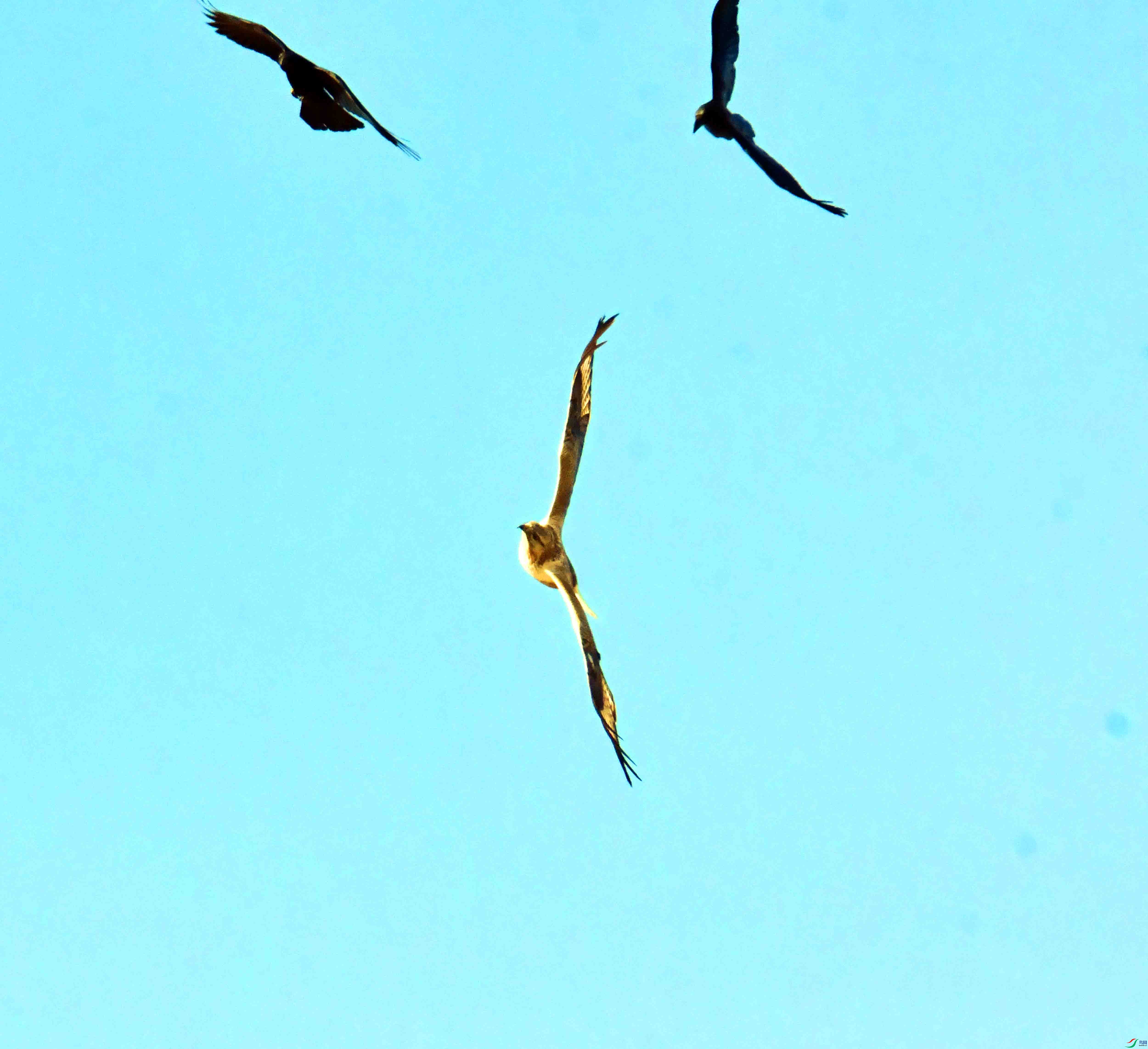 DSC_5303.JPG