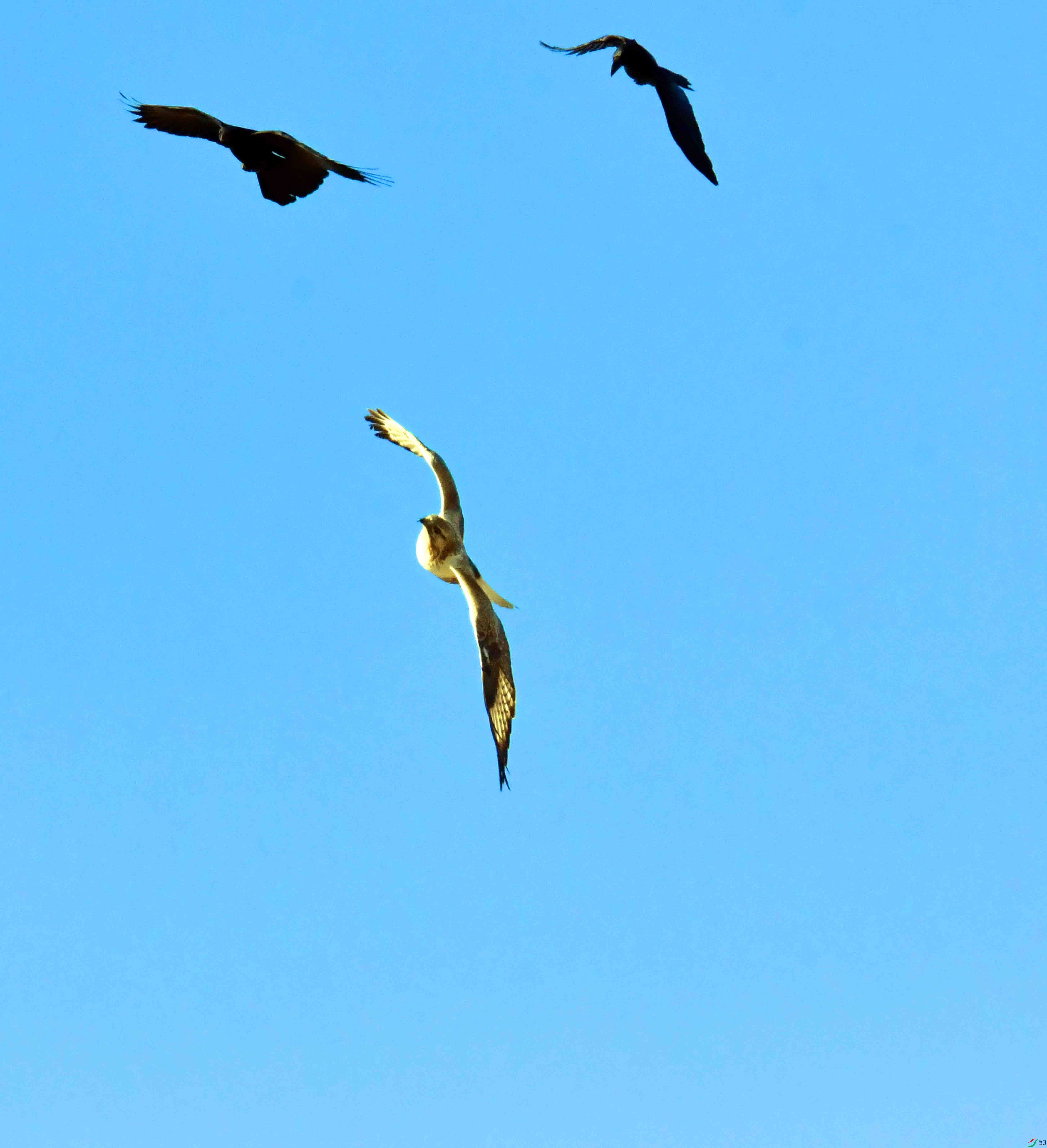 DSC_5302.JPG