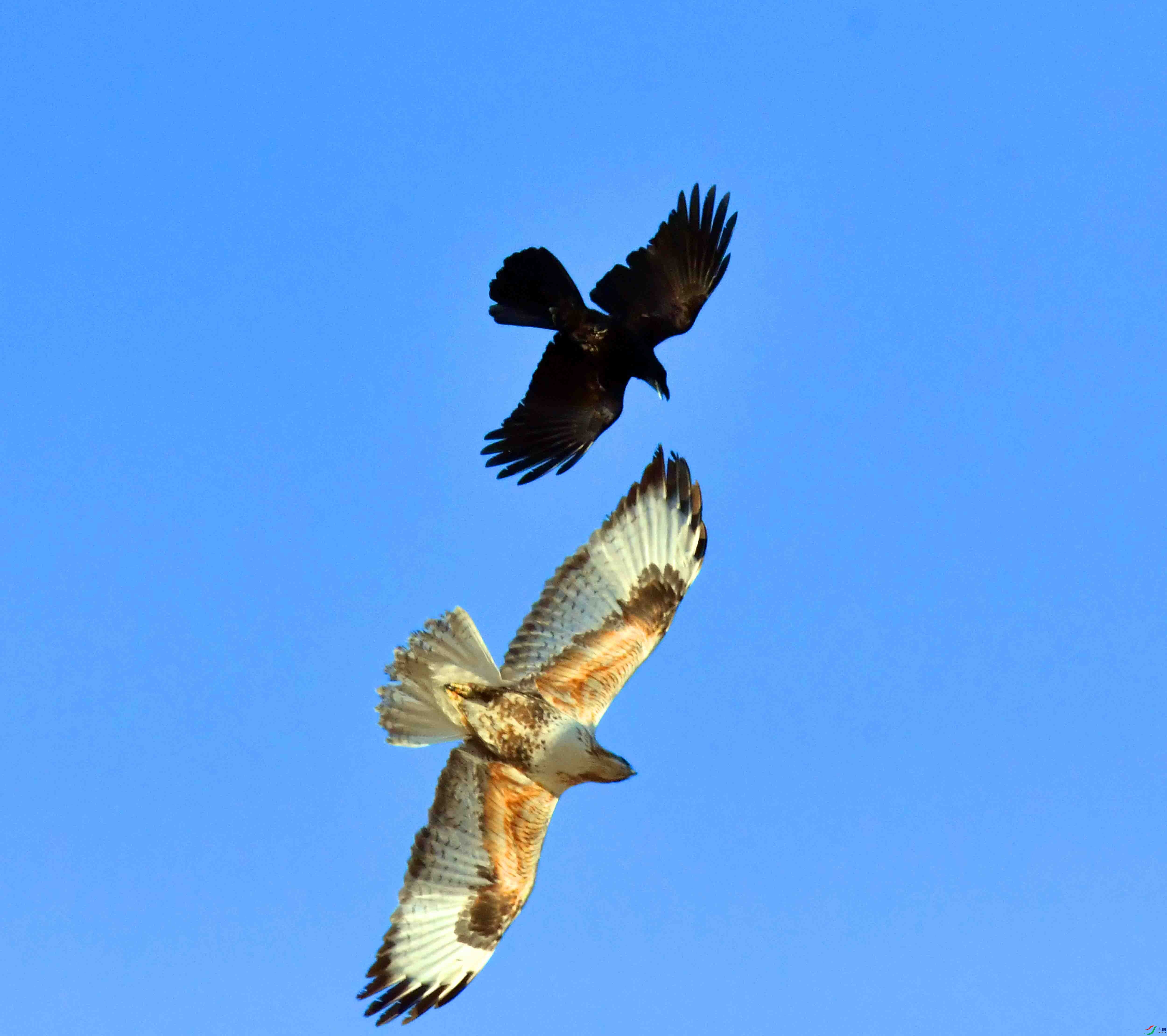 DSC_5304.JPG