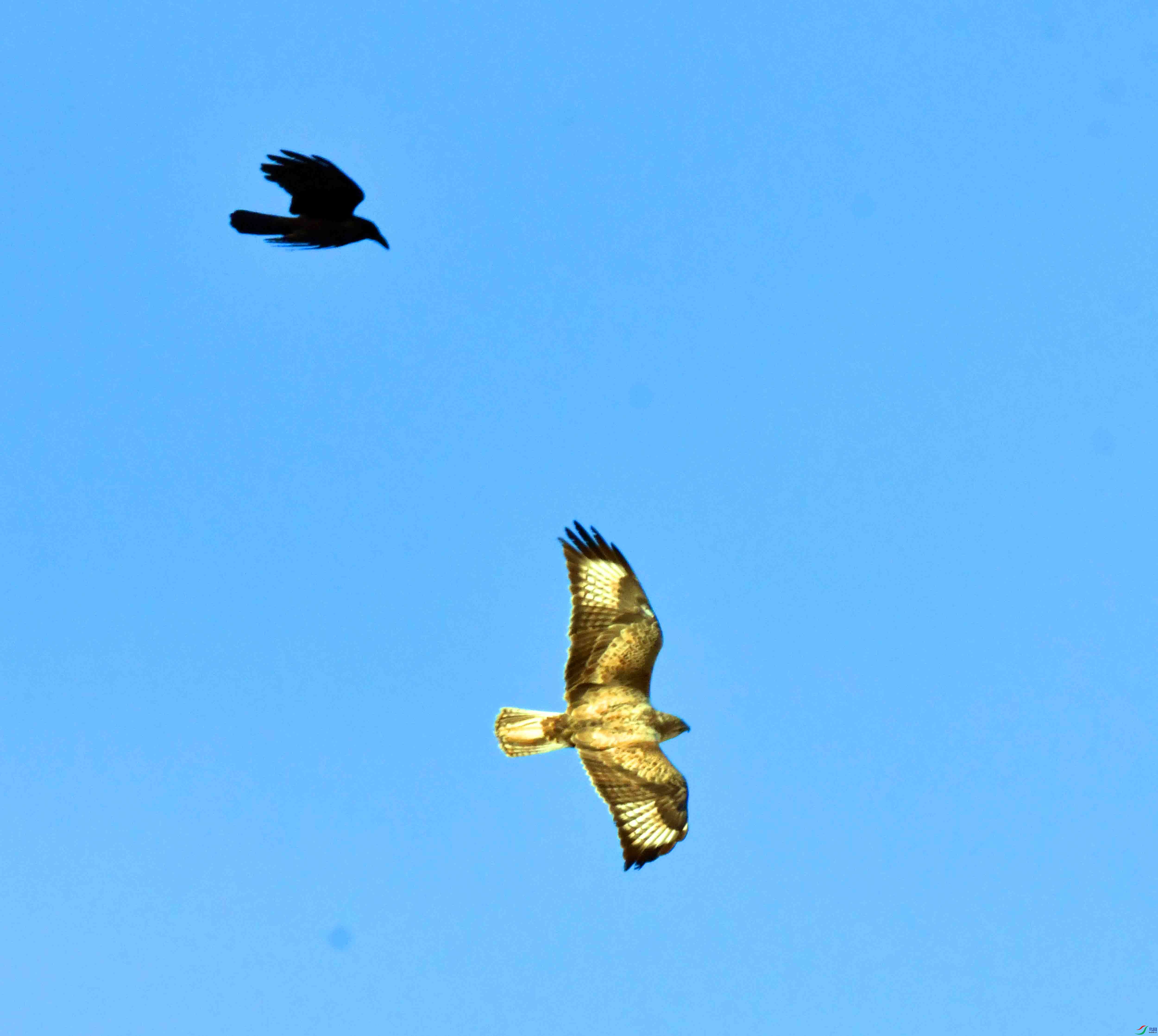 DSC_5307.JPG