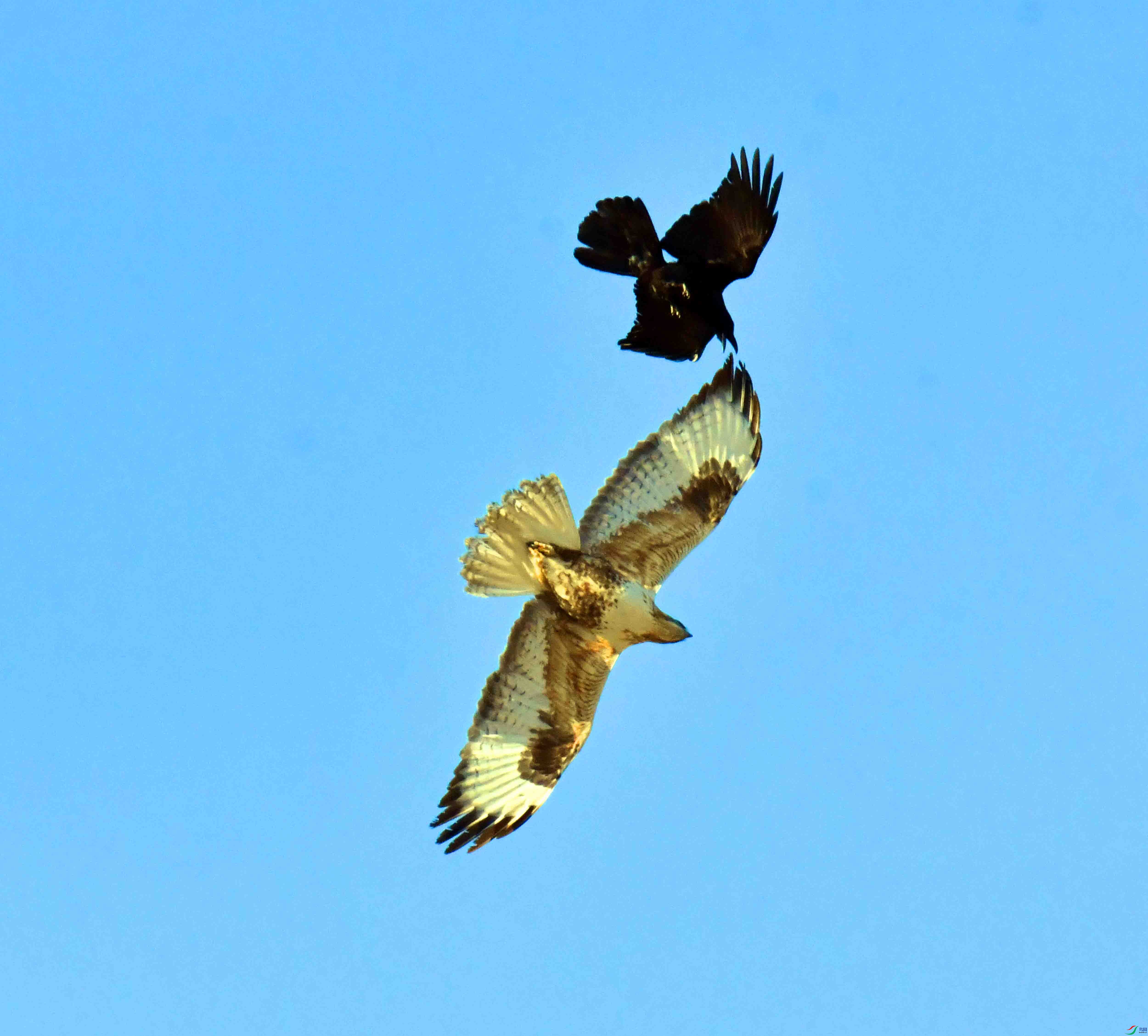 DSC_5305.JPG