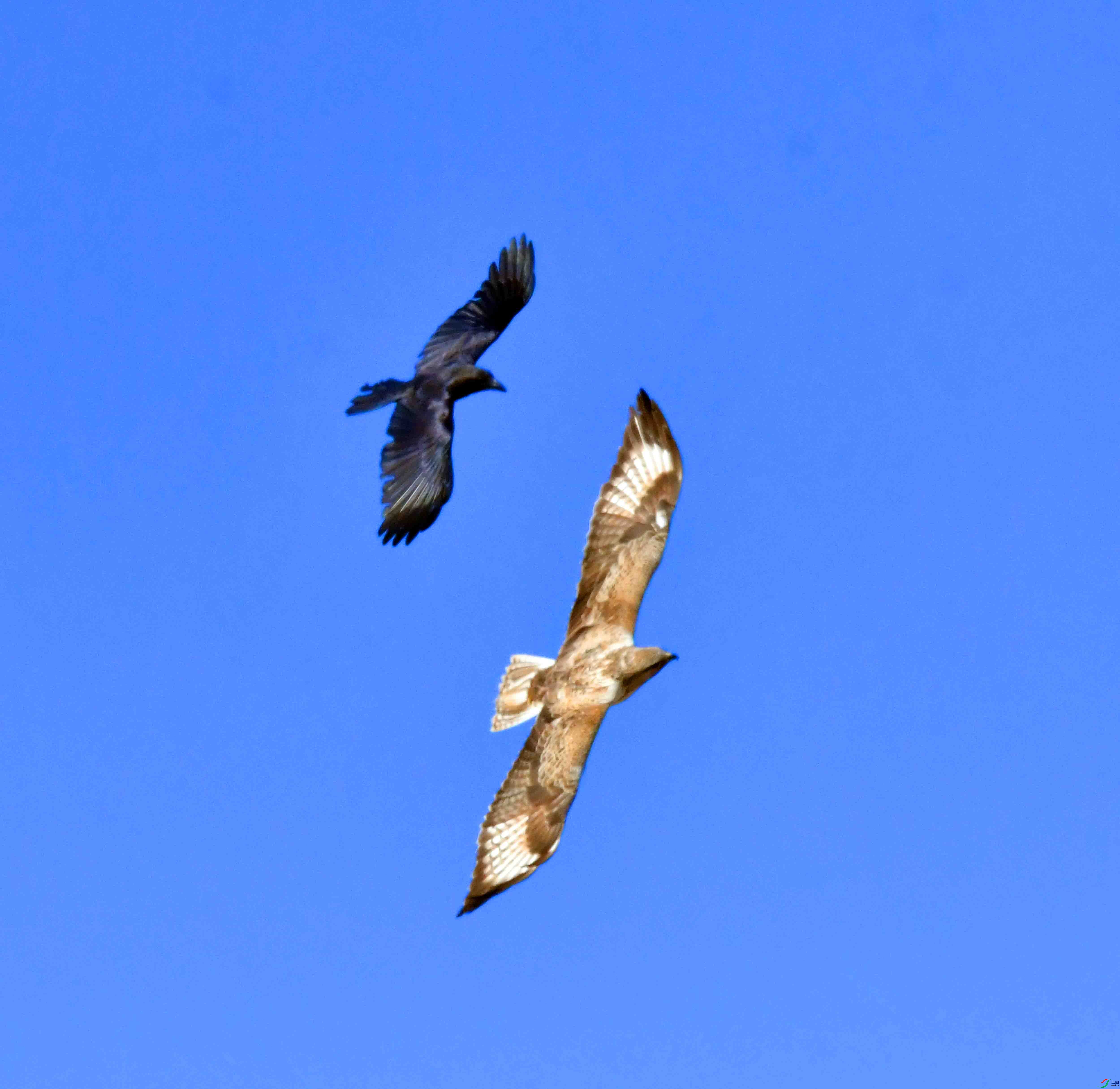 DSC_5309.JPG