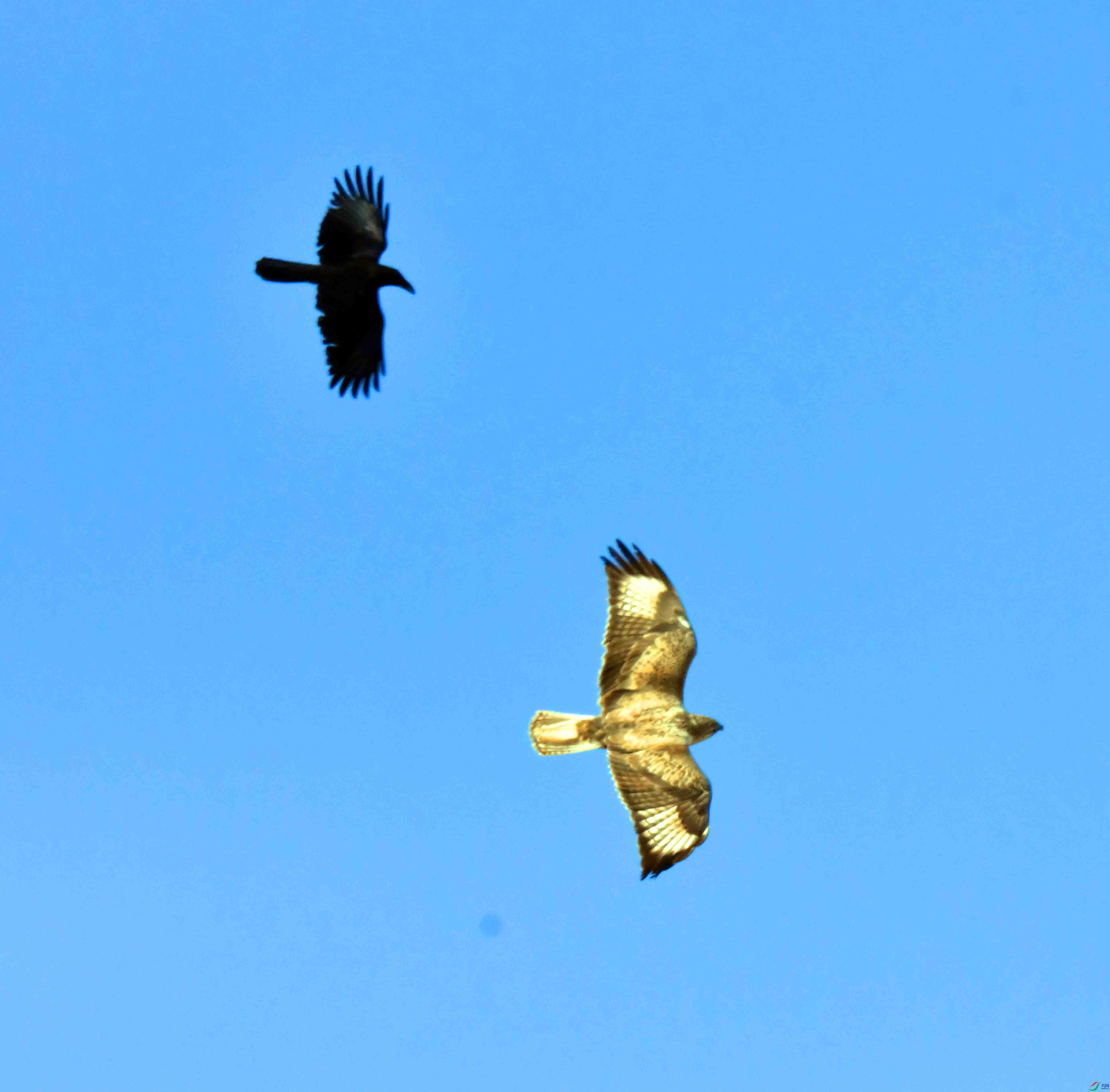DSC_5308.JPG