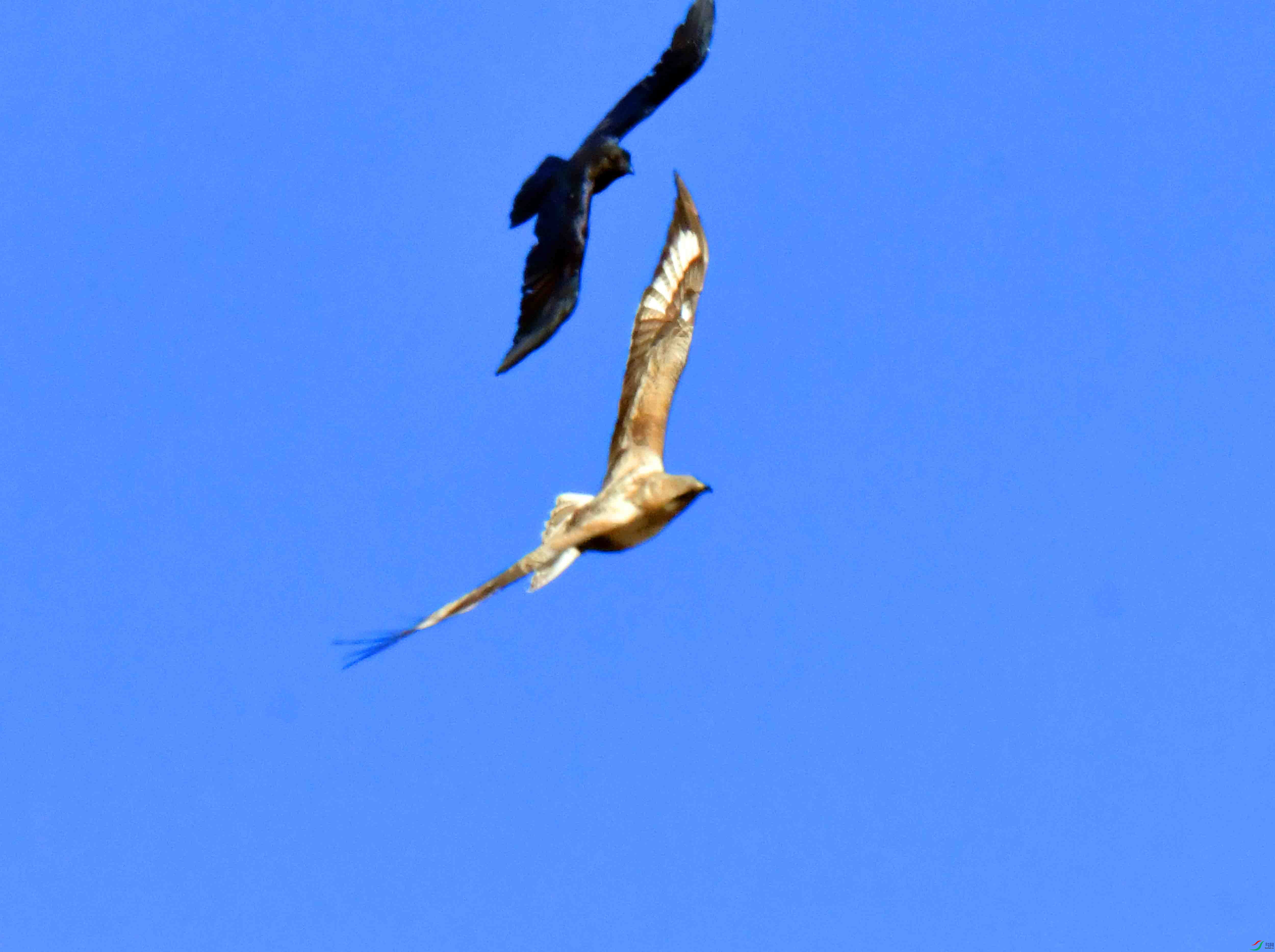DSC_5311.JPG