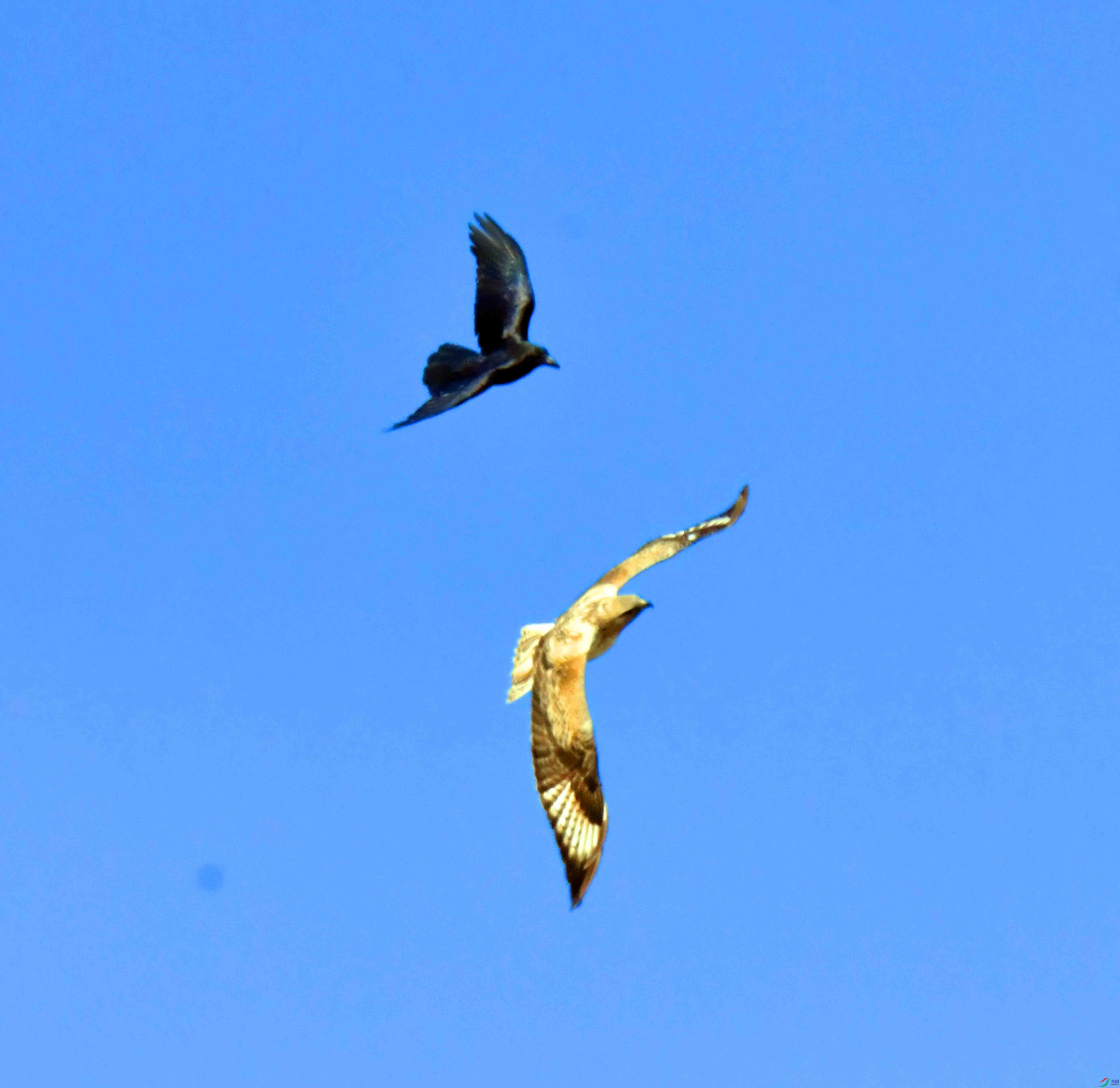 DSC_5310.JPG