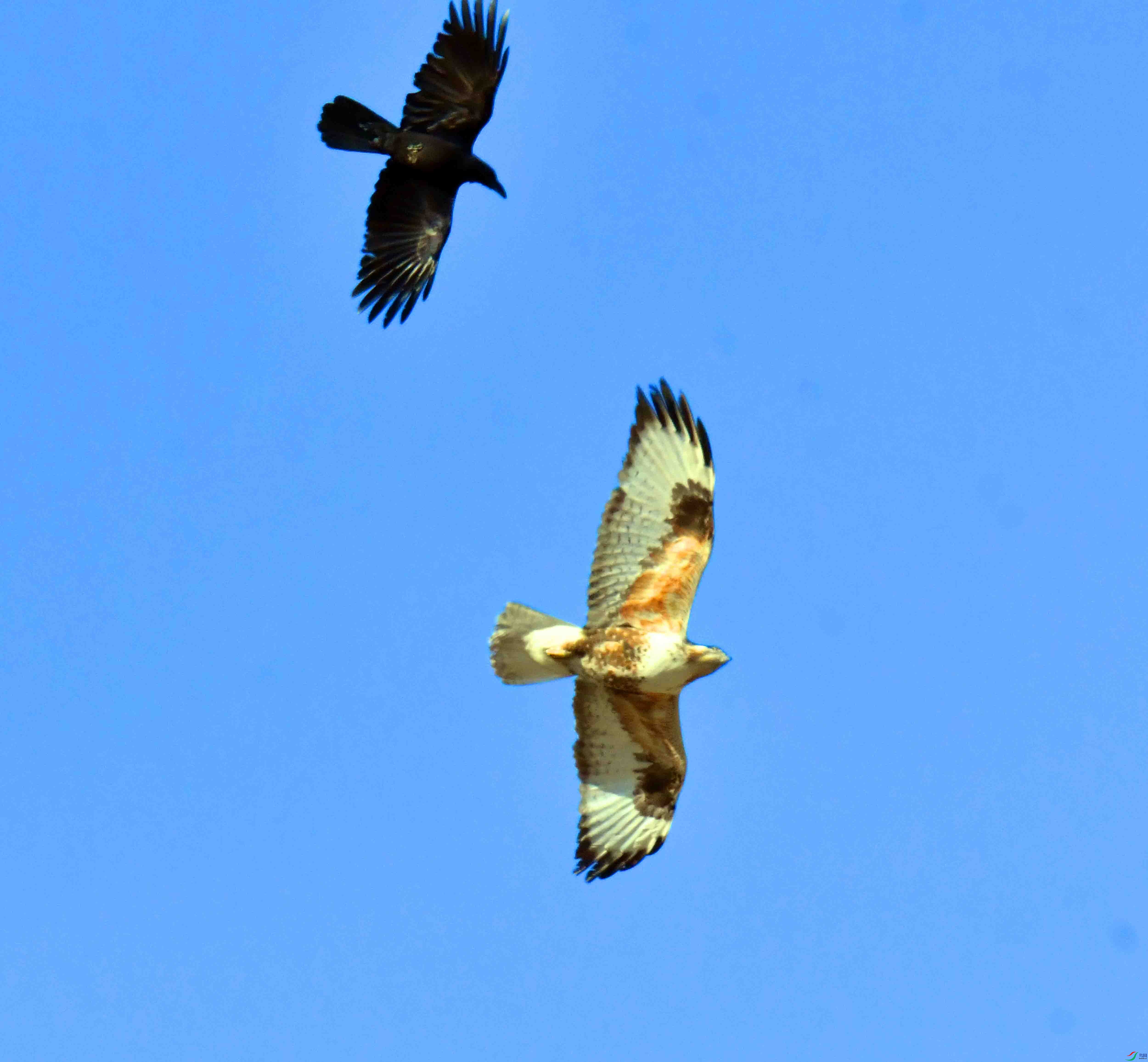 DSC_5312.JPG