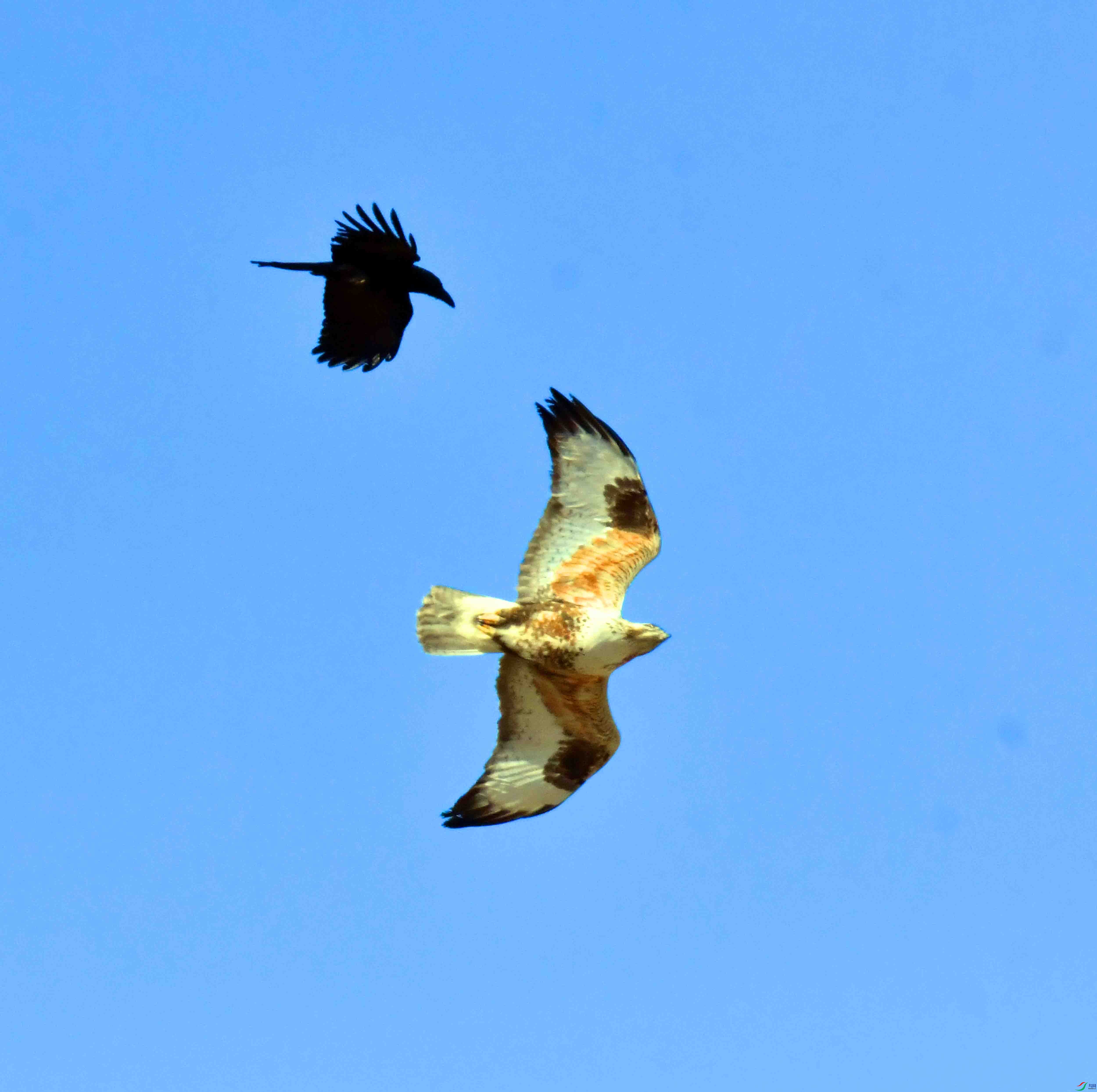 DSC_5314.JPG