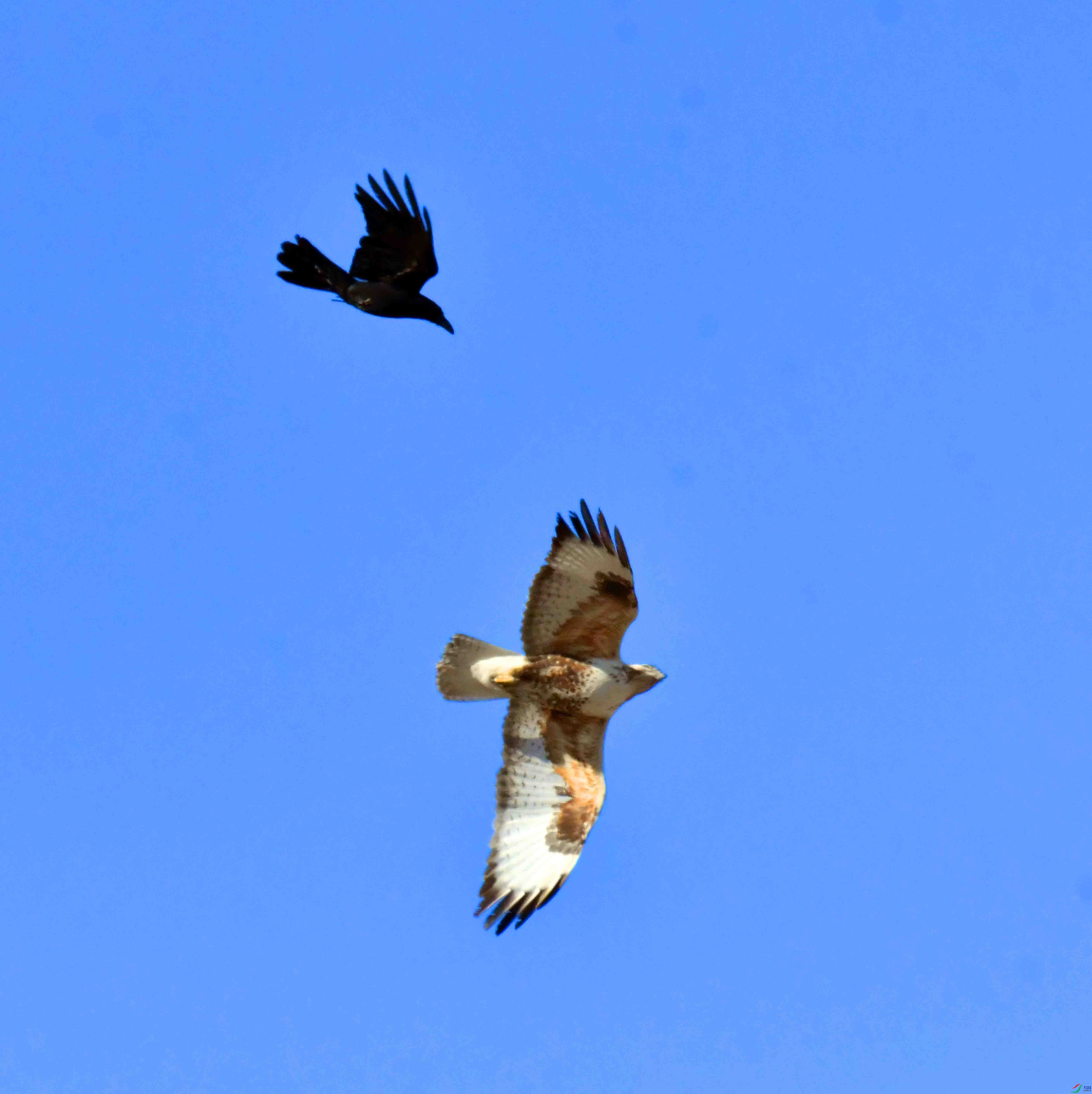 DSC_5313.JPG