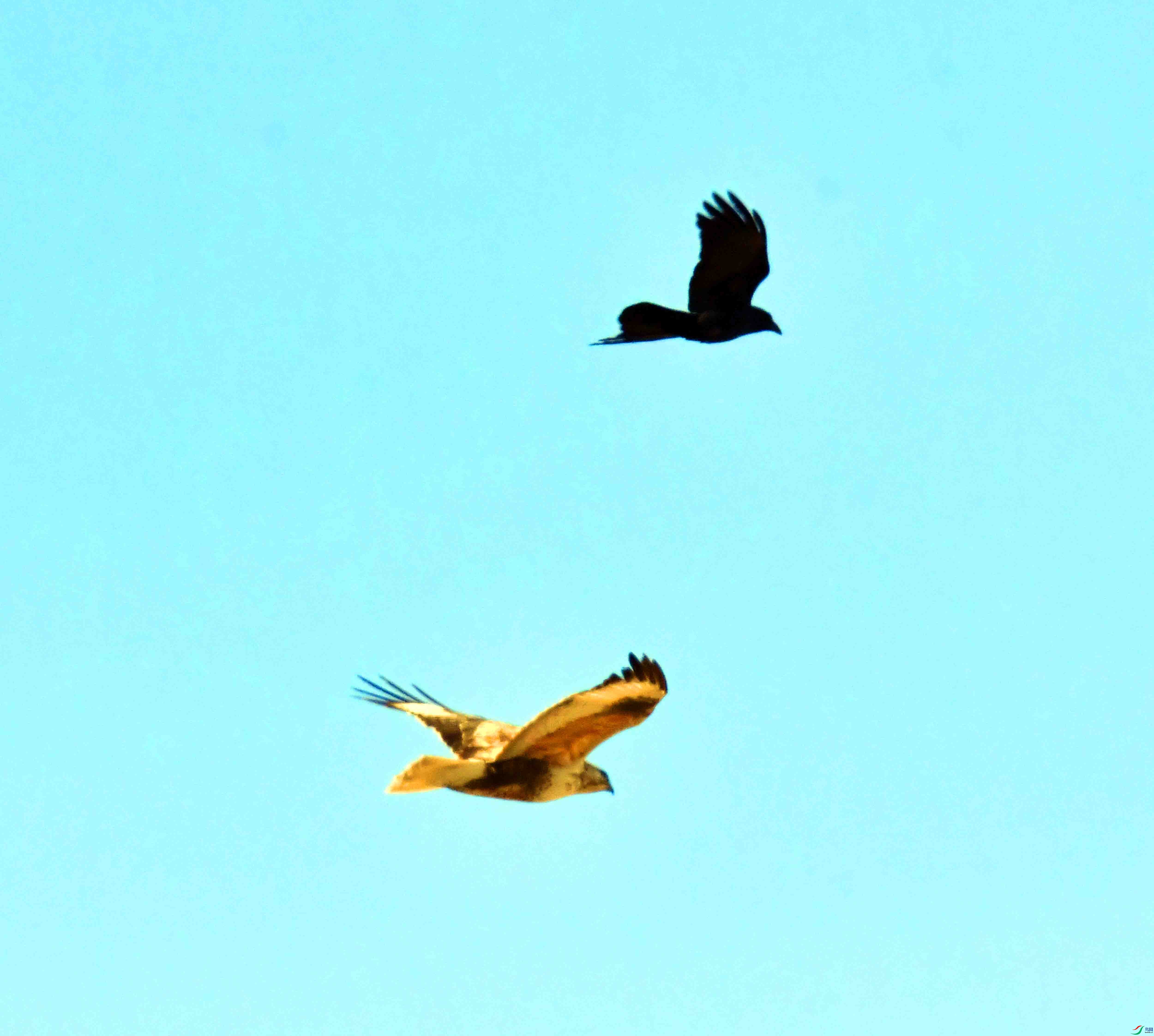 DSC_5315.JPG