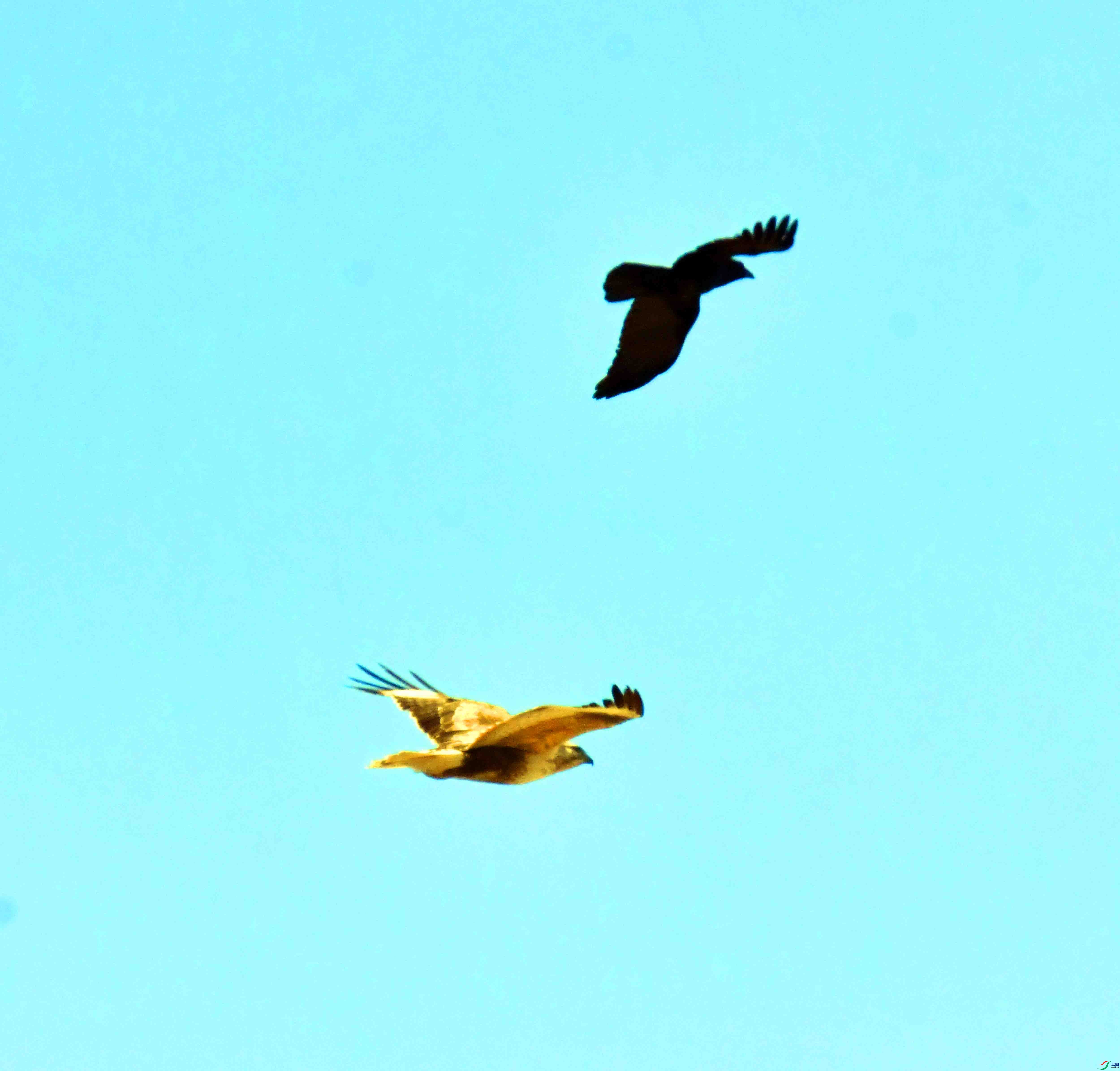 DSC_5316.JPG