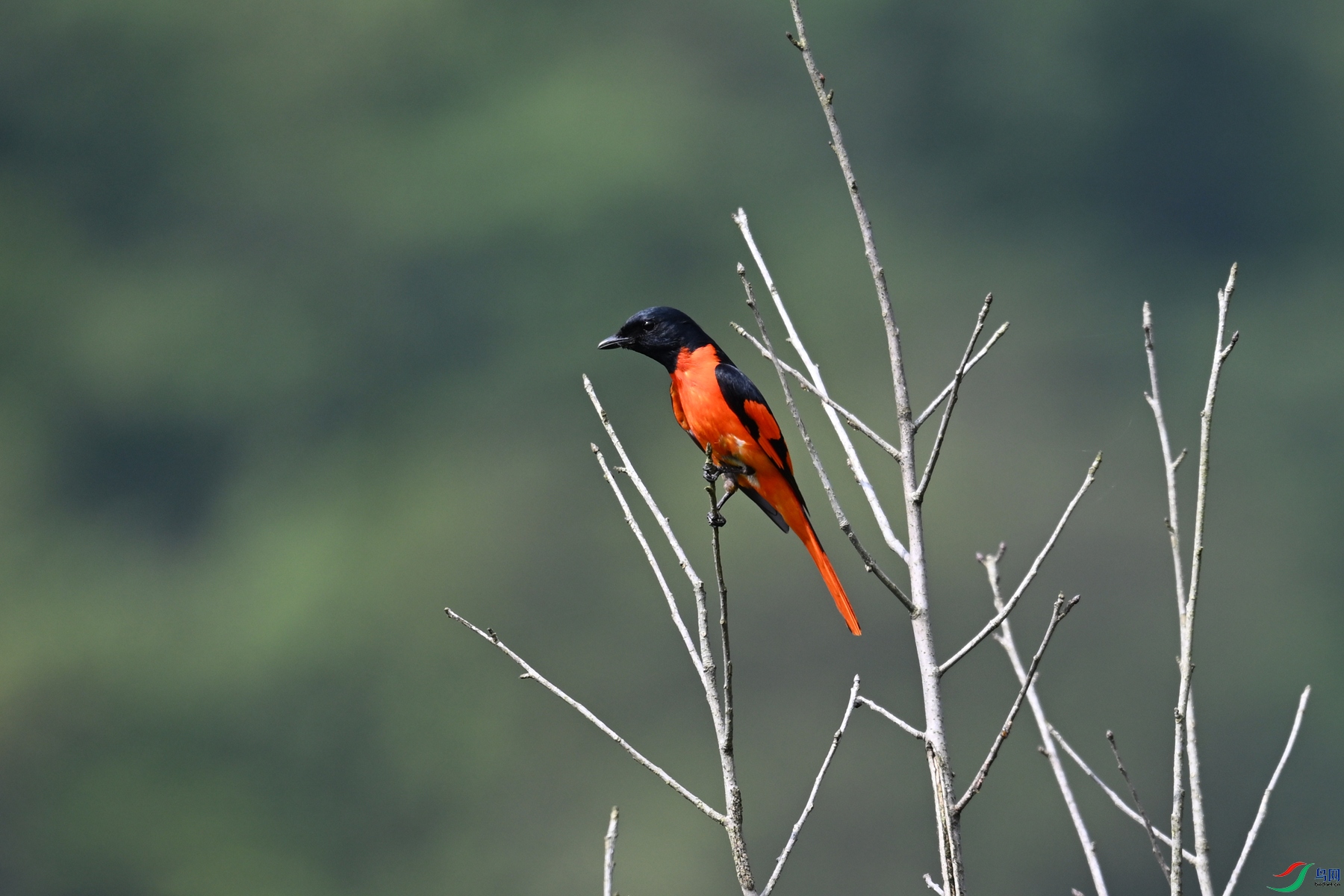 DSC_0136.JPG