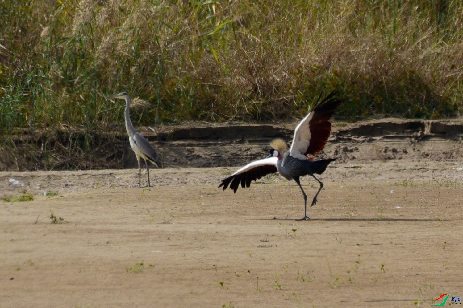 DSC_7589.JPG