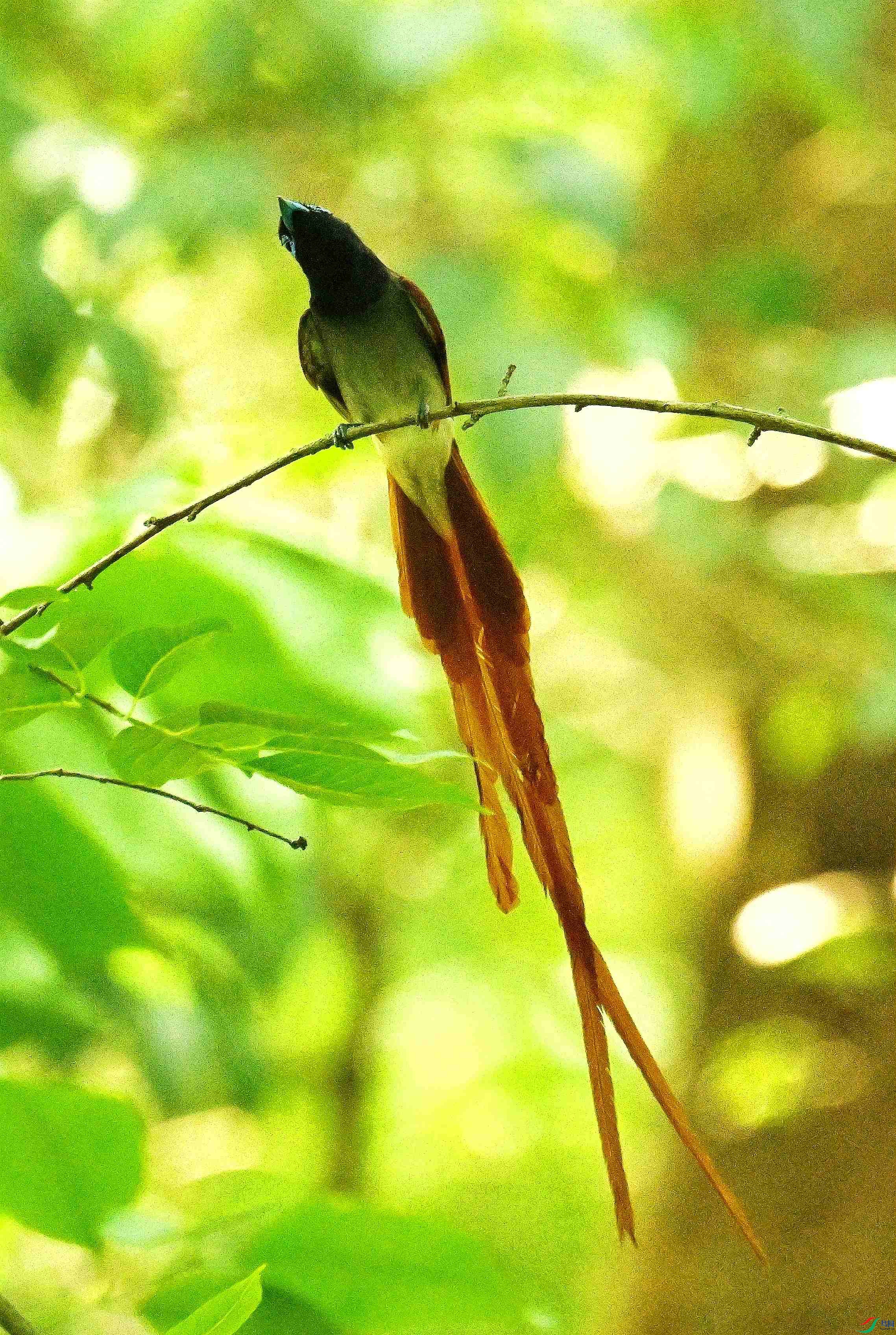 DSC_3700.JPG
