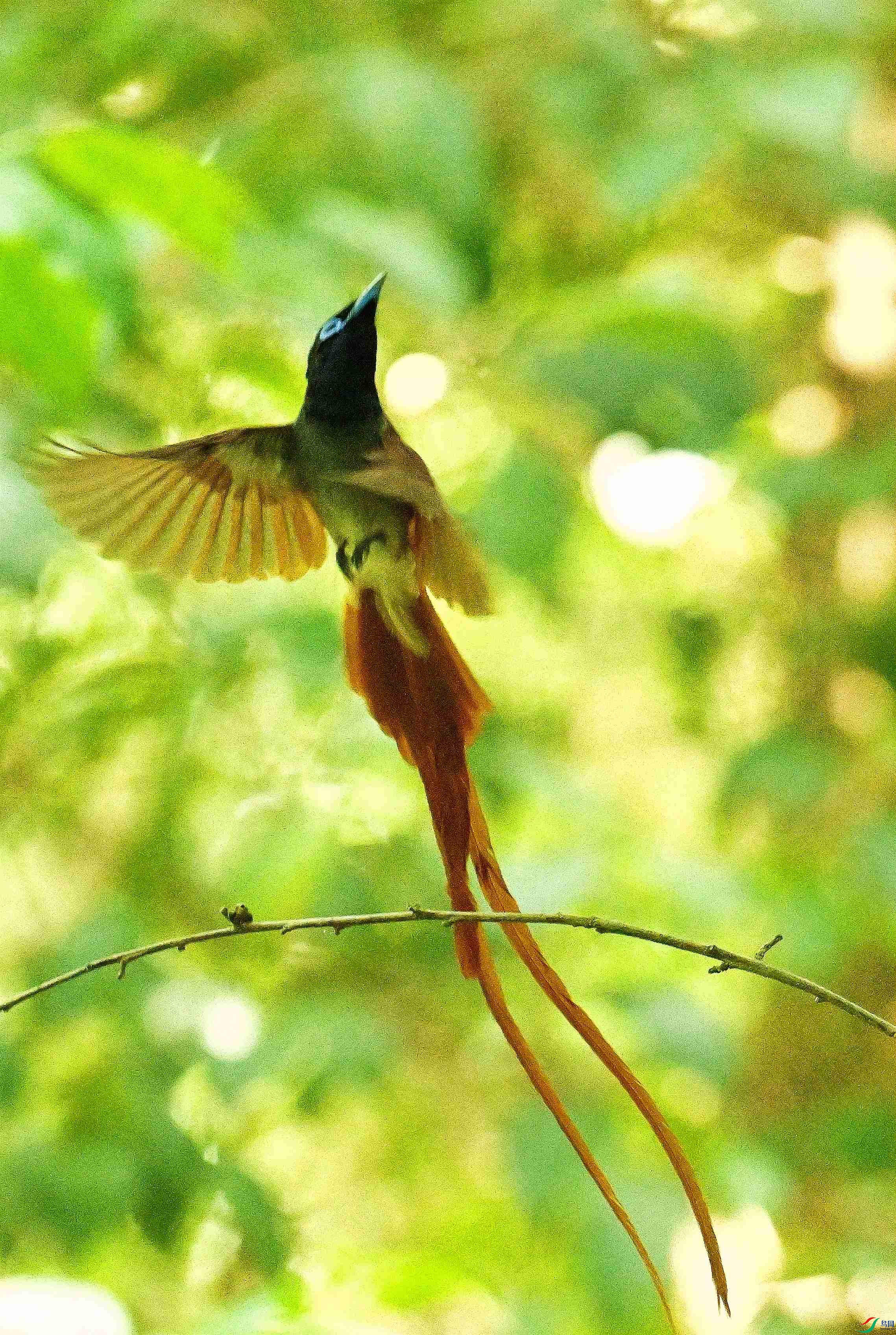 DSC_3711.JPG