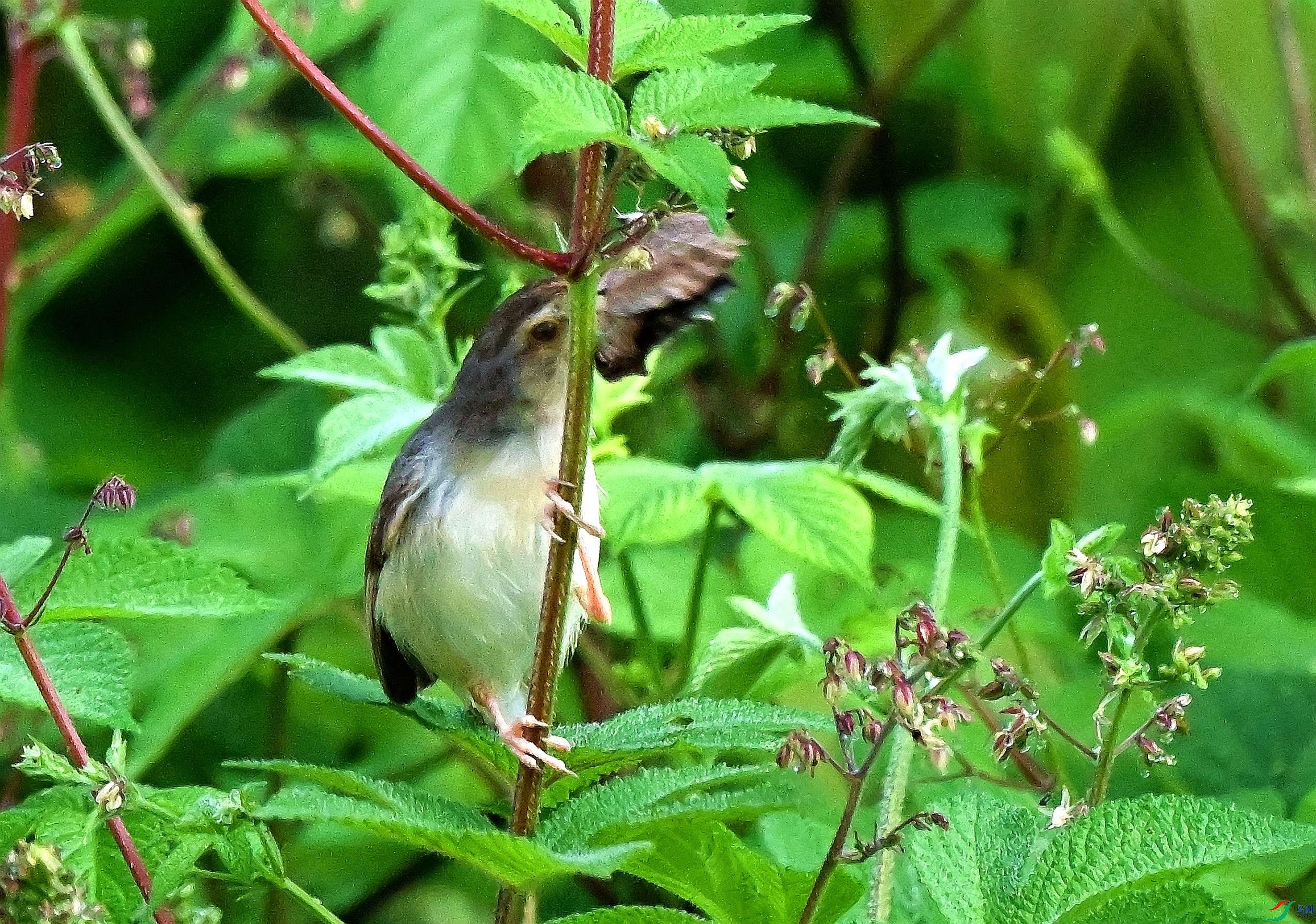 DSC_1261.JPG