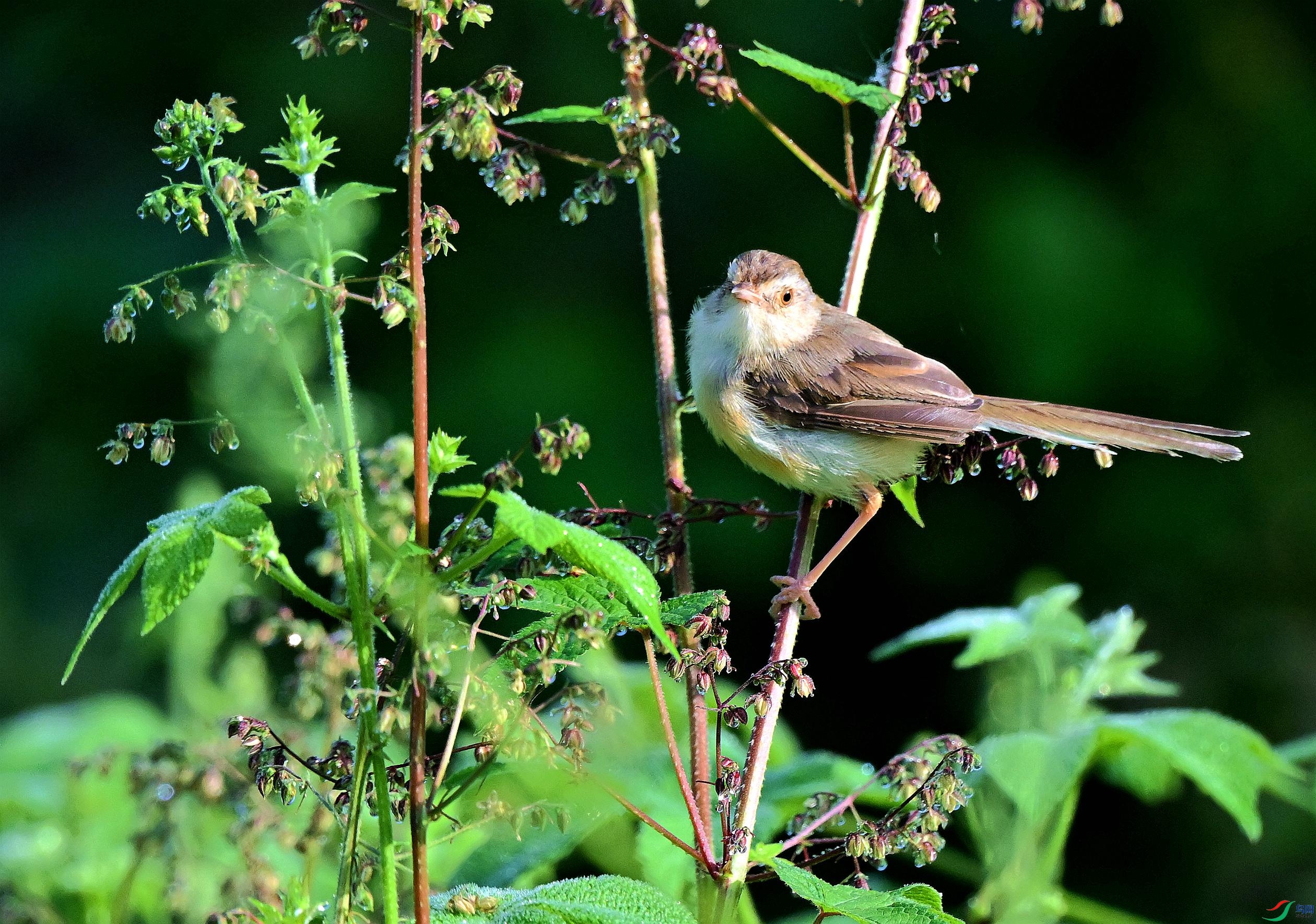 DSC_9716.JPG