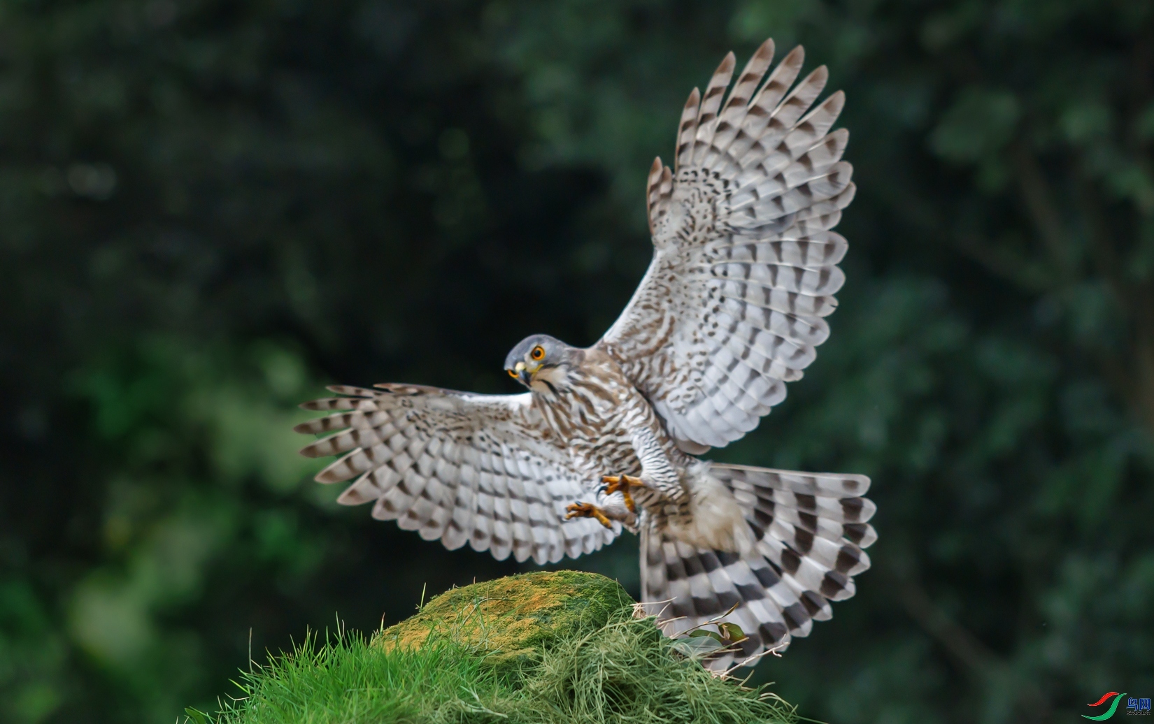 123A7054s.jpg