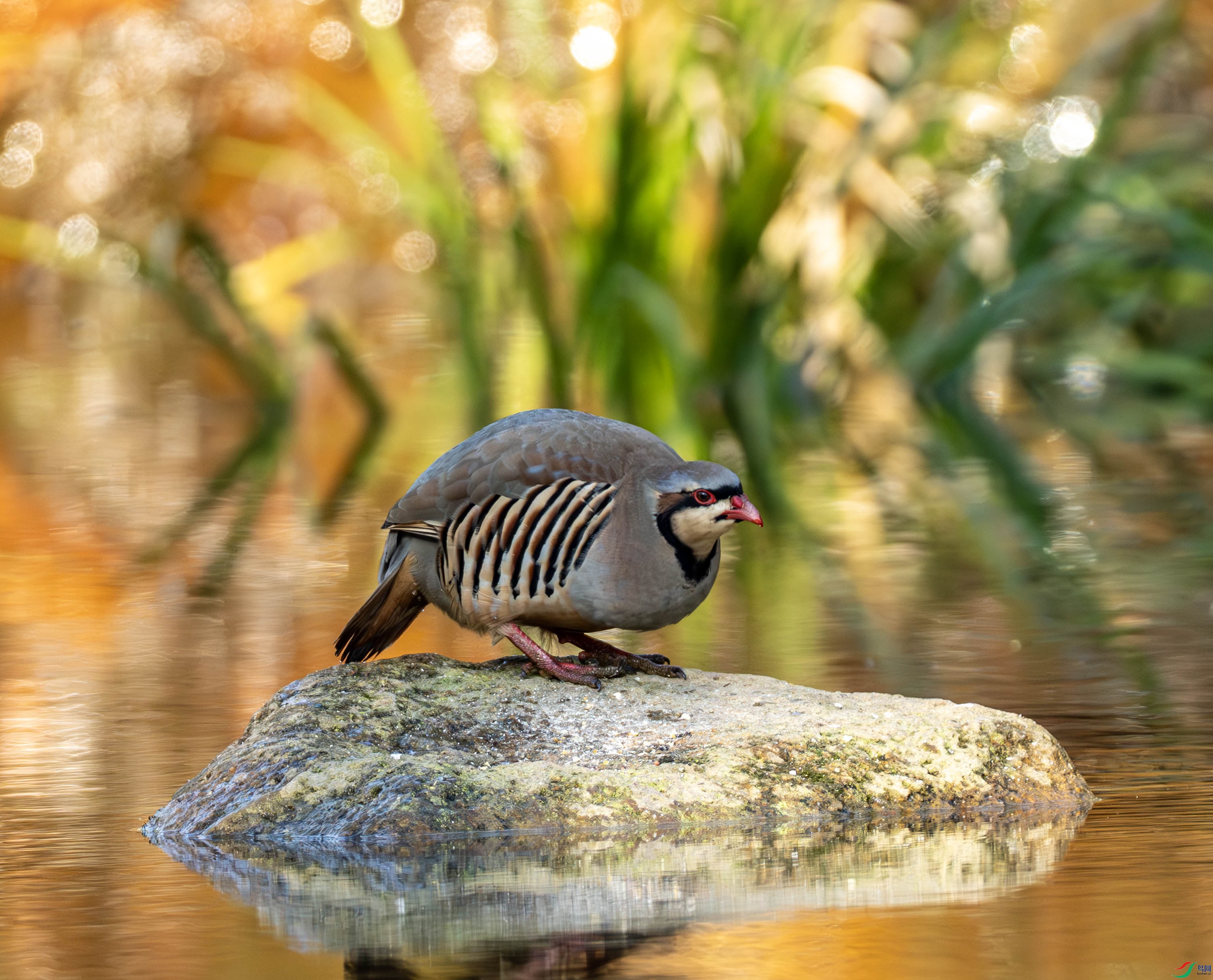 ʯ��-02-4.jpg