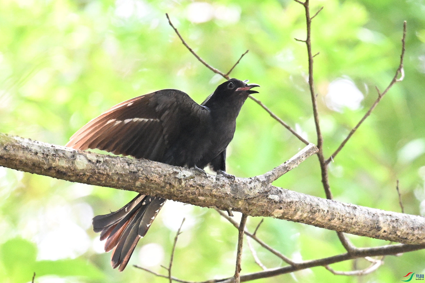 DSC_0659.JPG