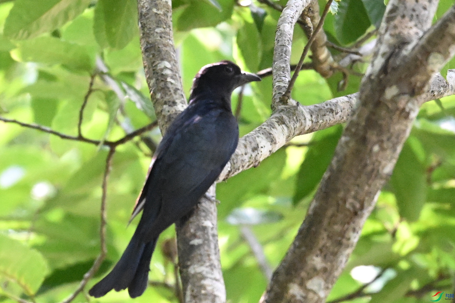 DSC_0608.JPG