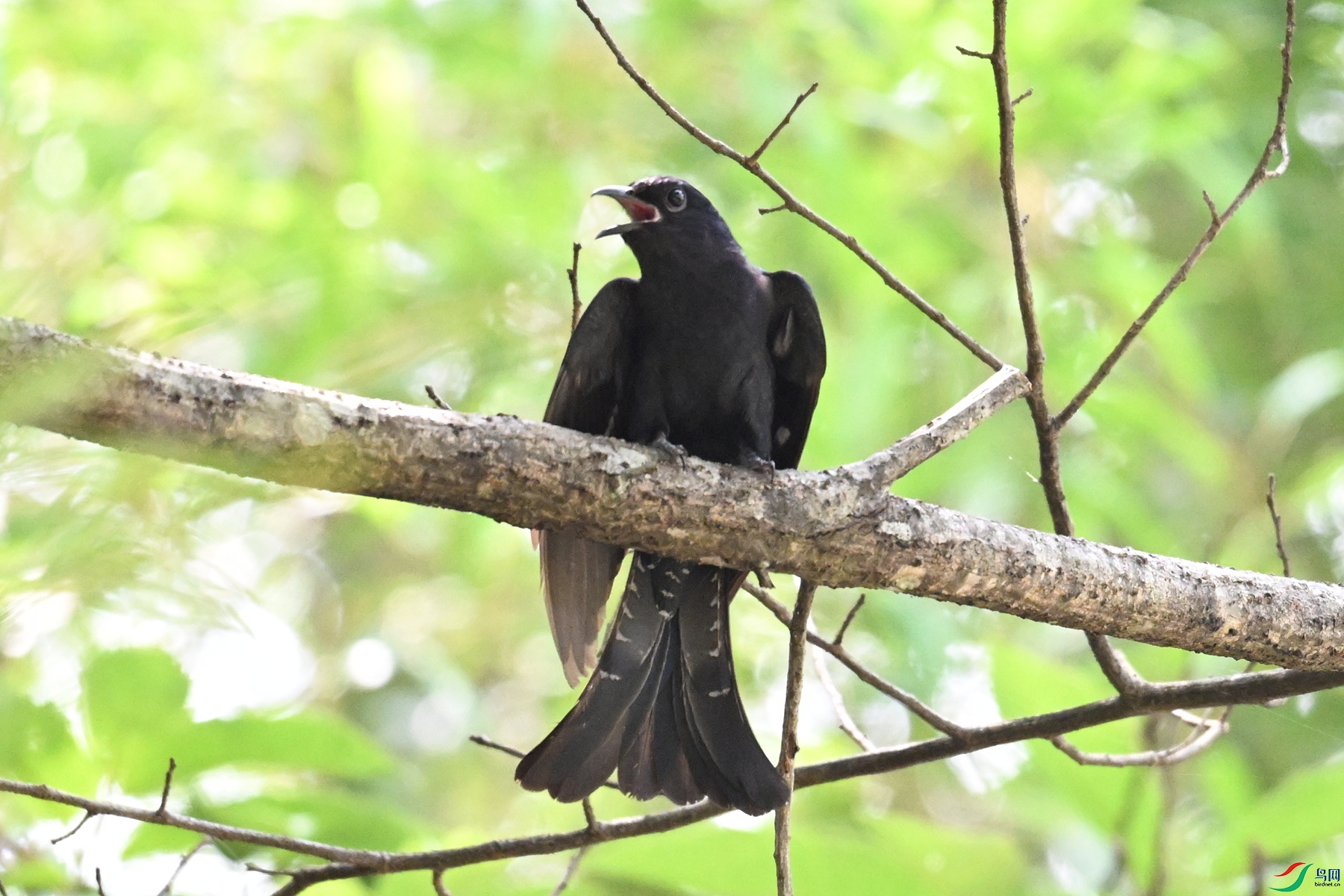 DSC_0666.JPG