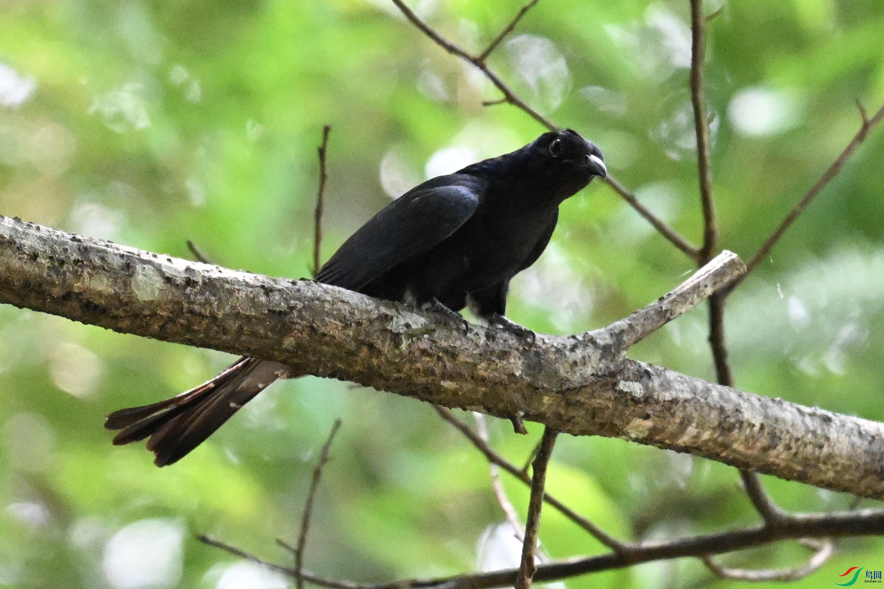 DSC_0643.JPG