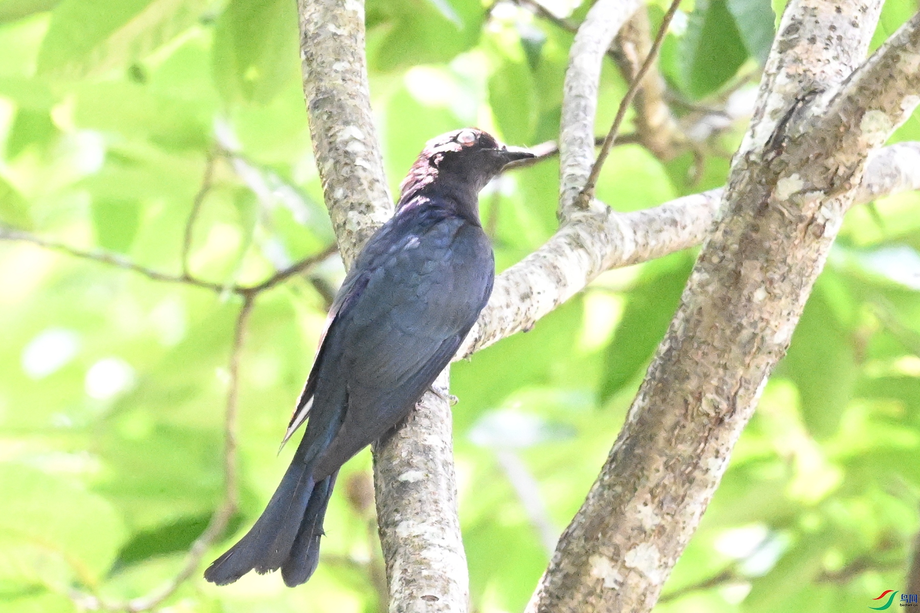 DSC_0612.JPG