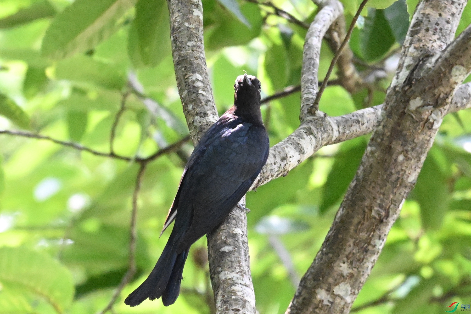DSC_0617.JPG