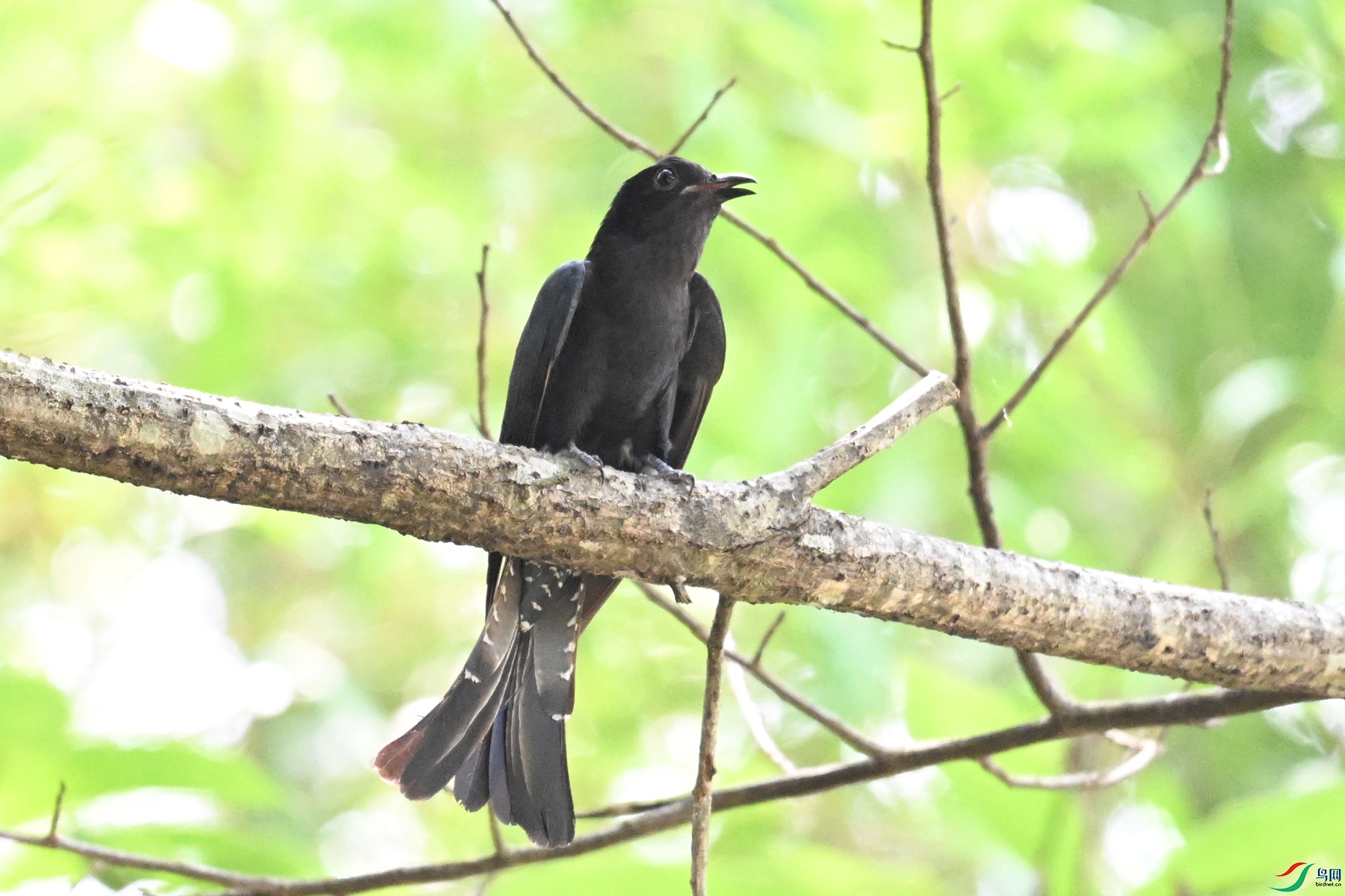 DSC_0656.JPG