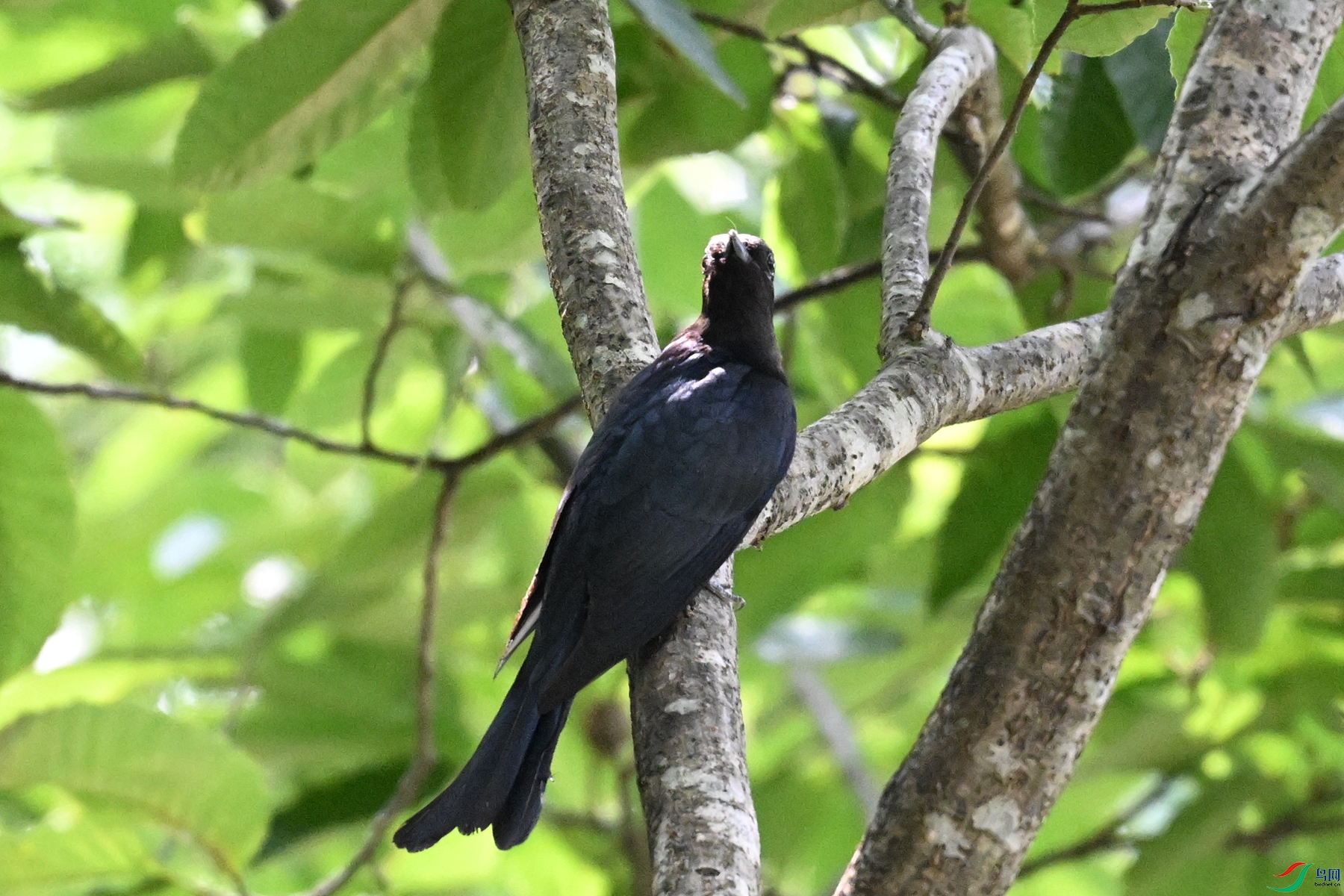 DSC_0619.JPG