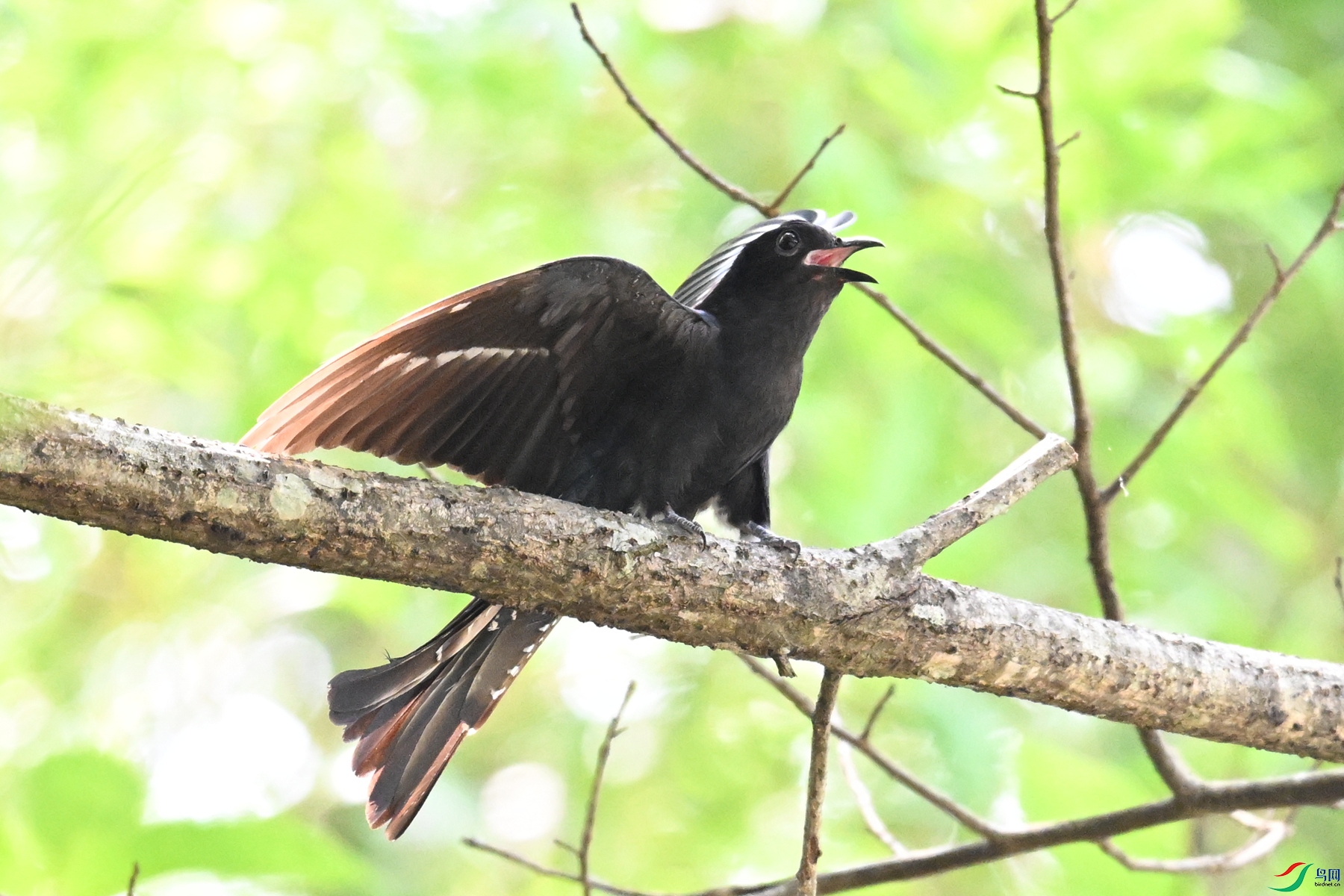 DSC_0660.JPG