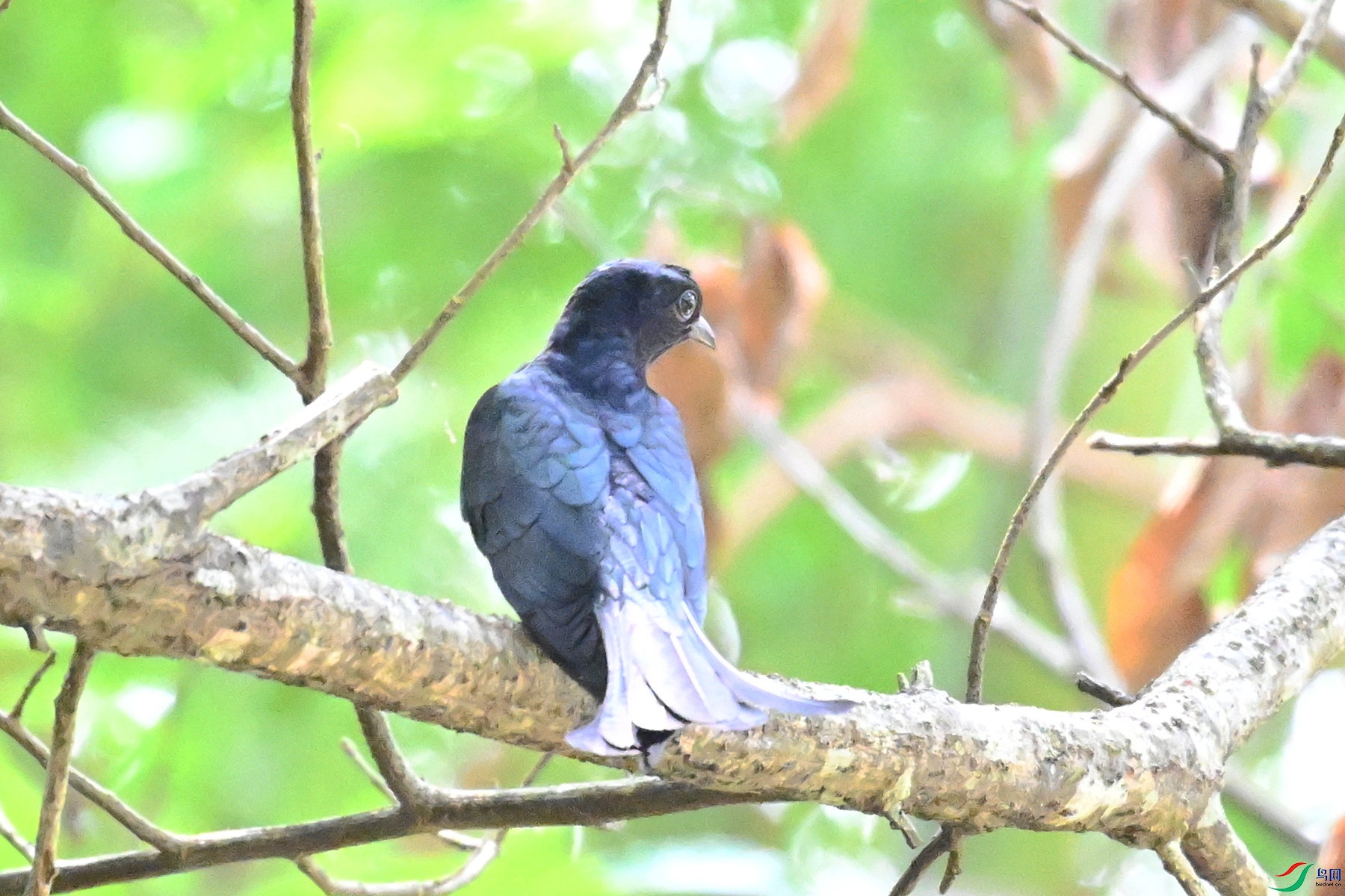 DSC_0623.JPG