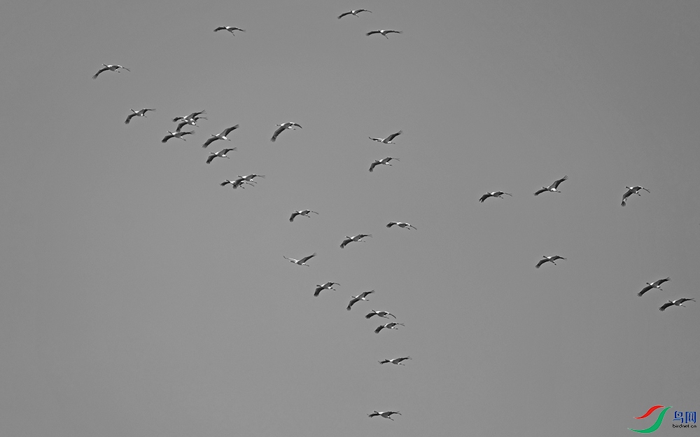 DSCF9355.1.jpg
