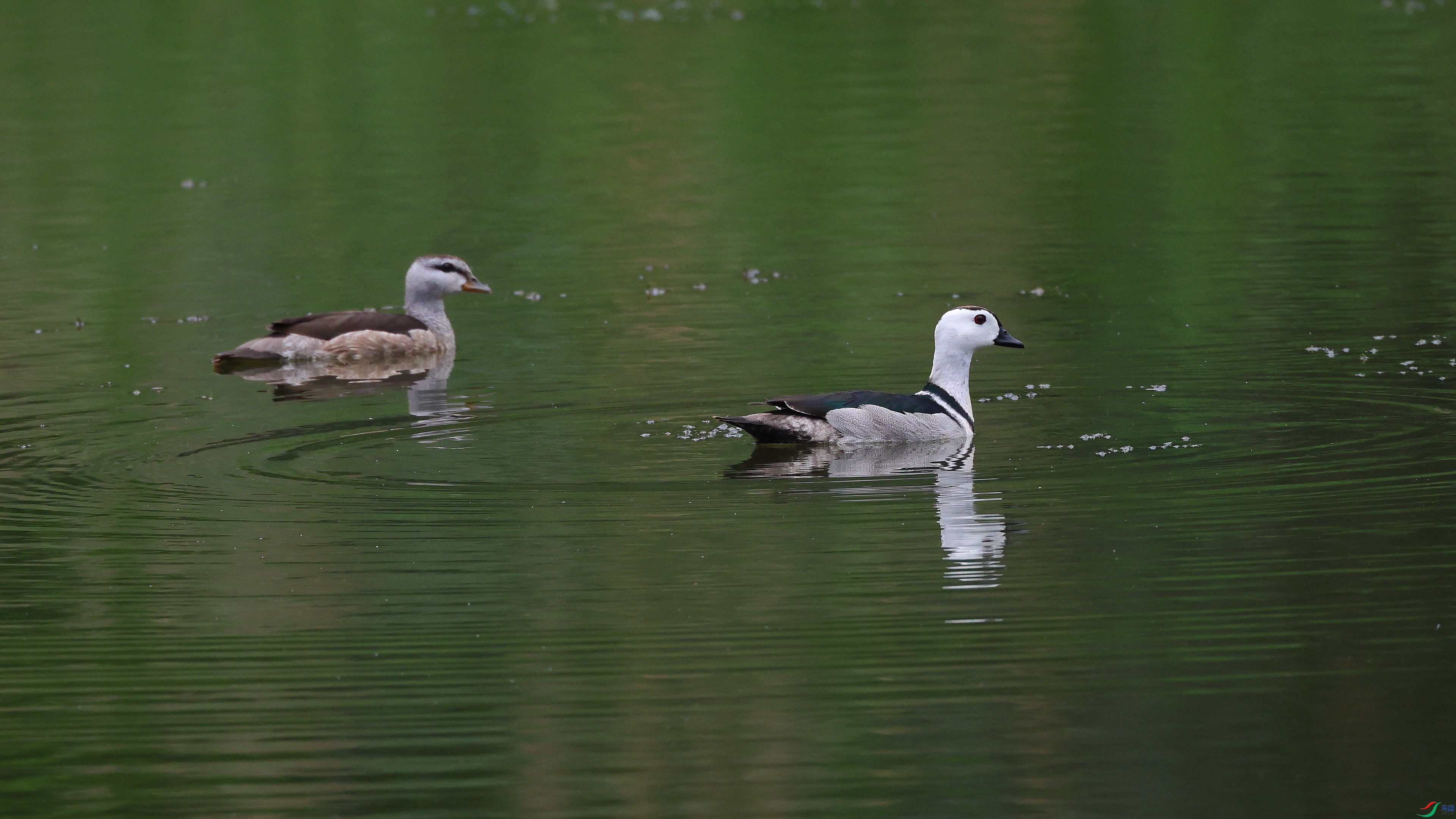 IMG_6516.JPG