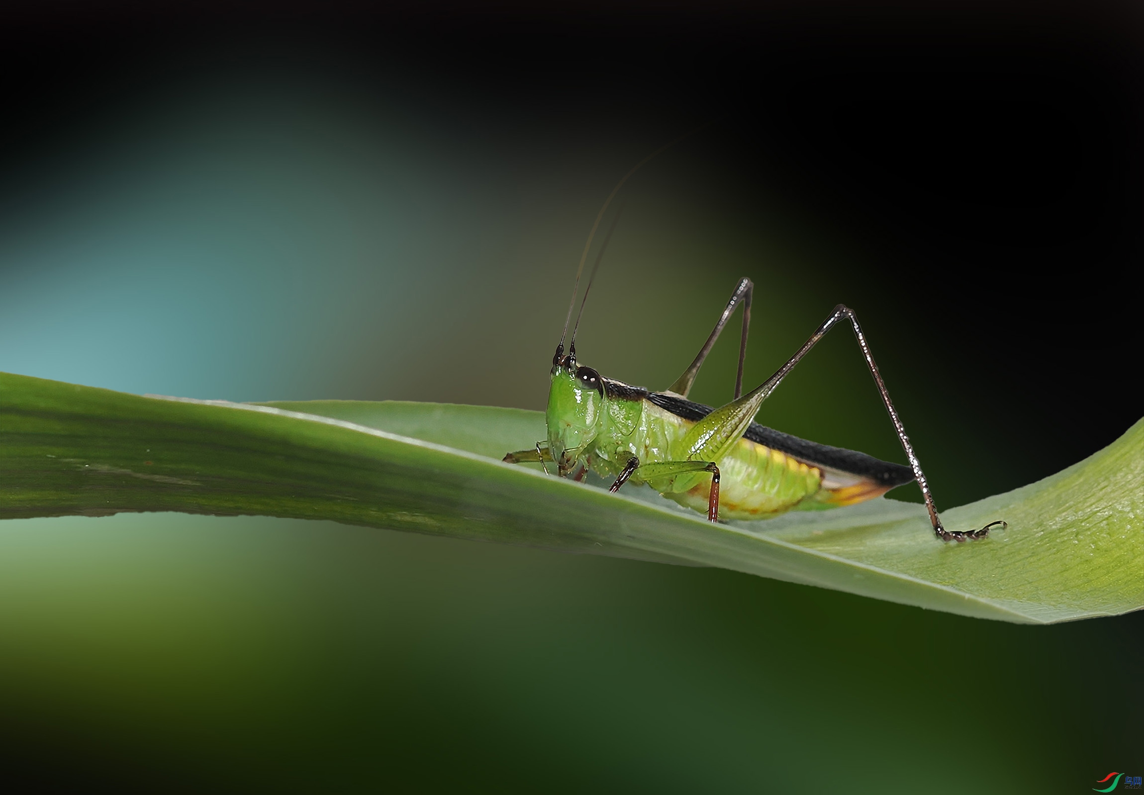 P4150010 ���� 3.jpg