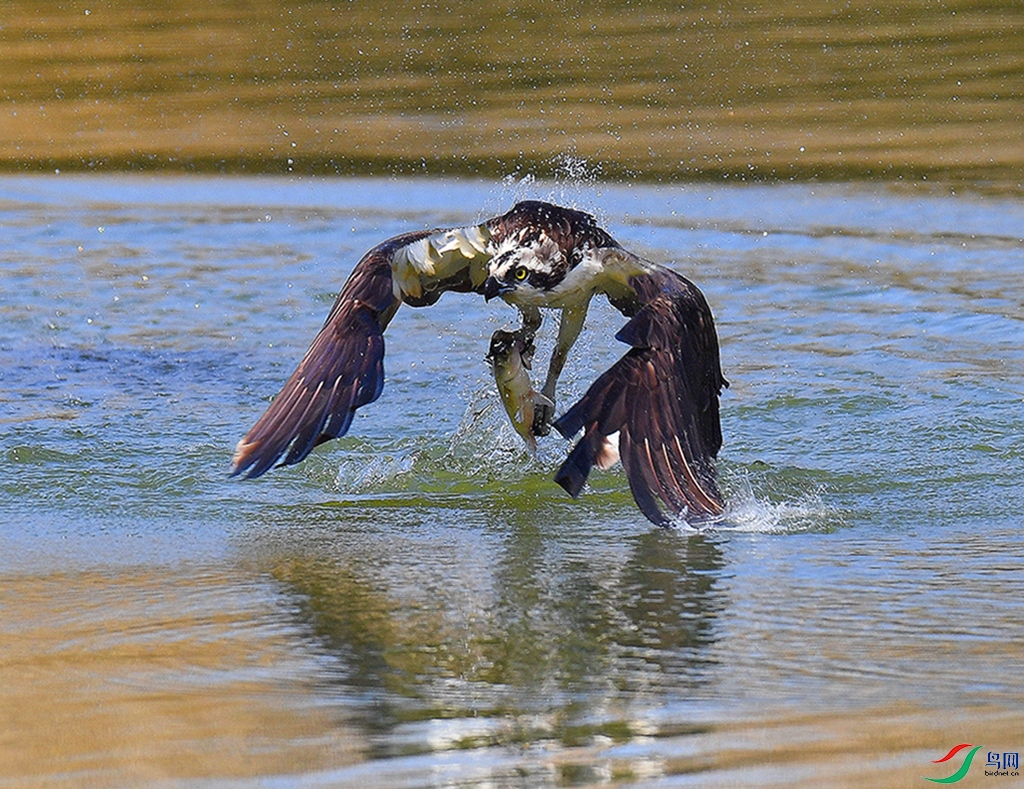 DSC_2051.JPG