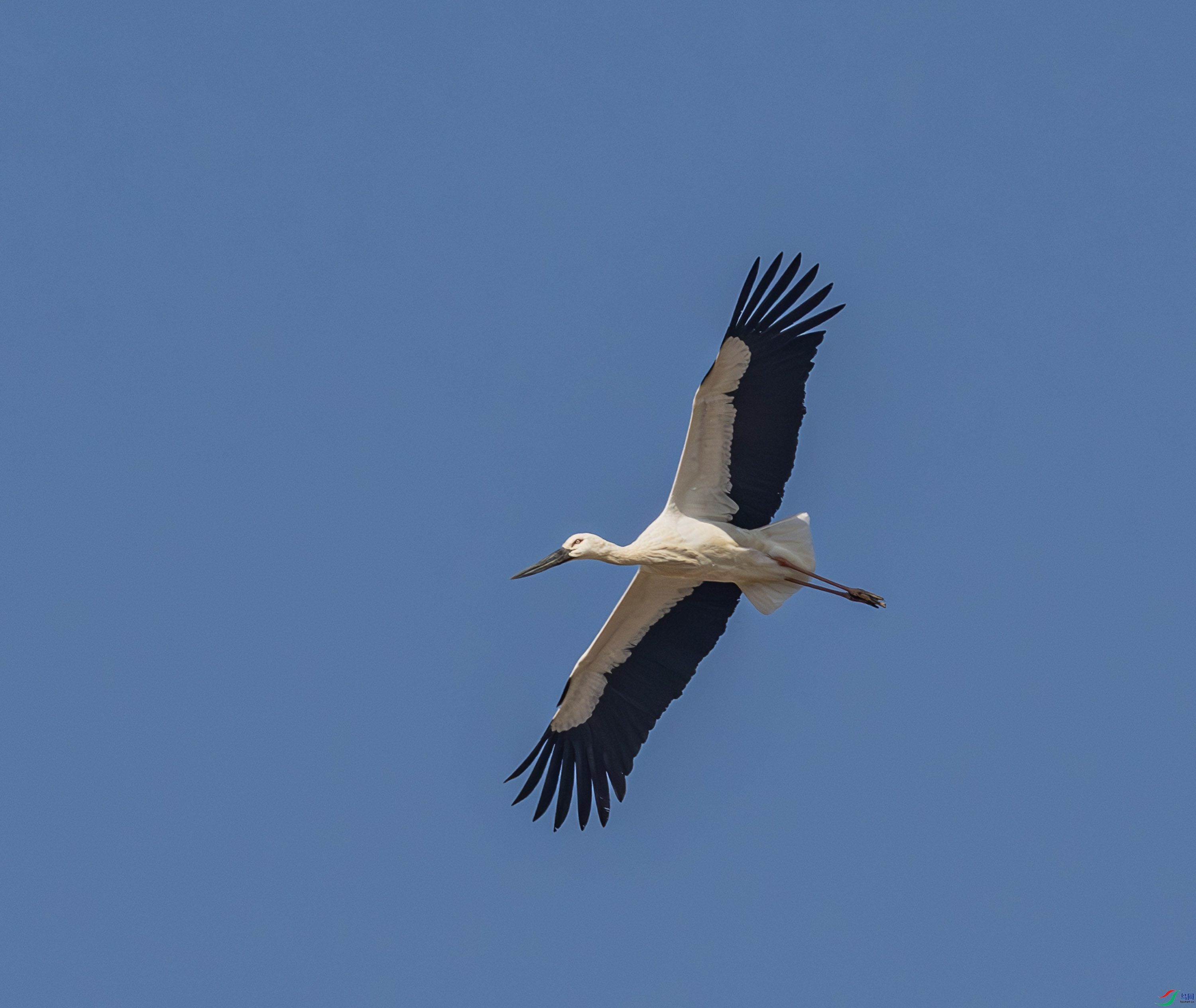 ��������-02-8.jpg