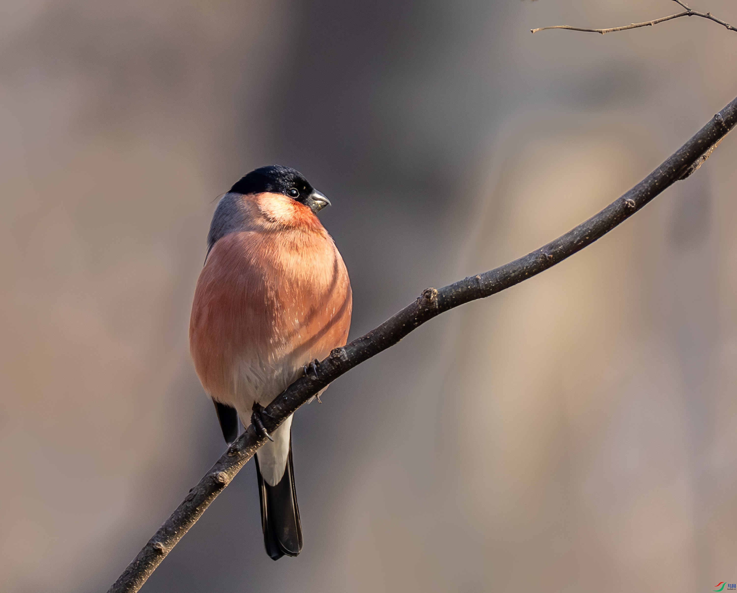 �츹��ȸ-01-15.jpg