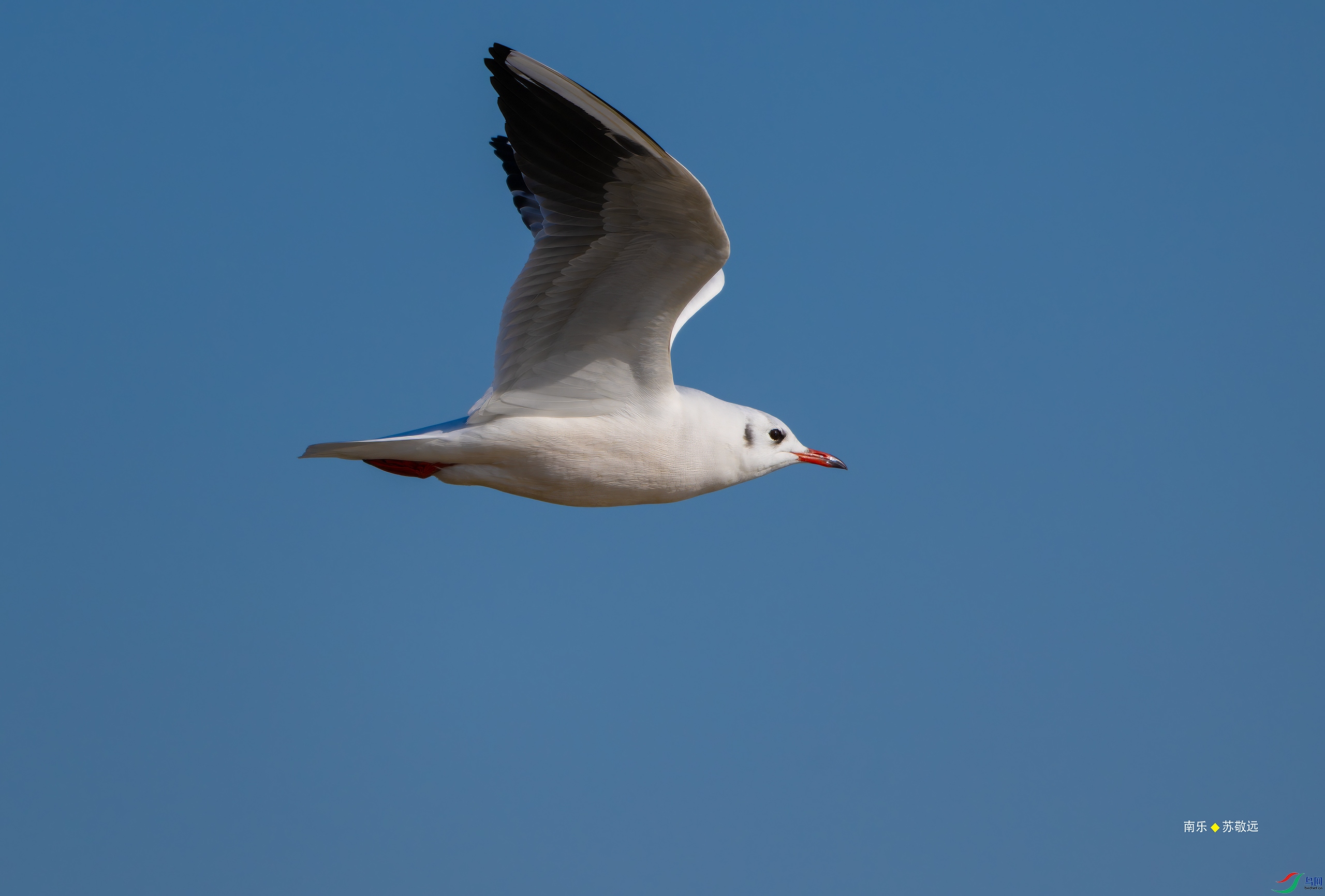 _DSC7948-DxO_С.jpg