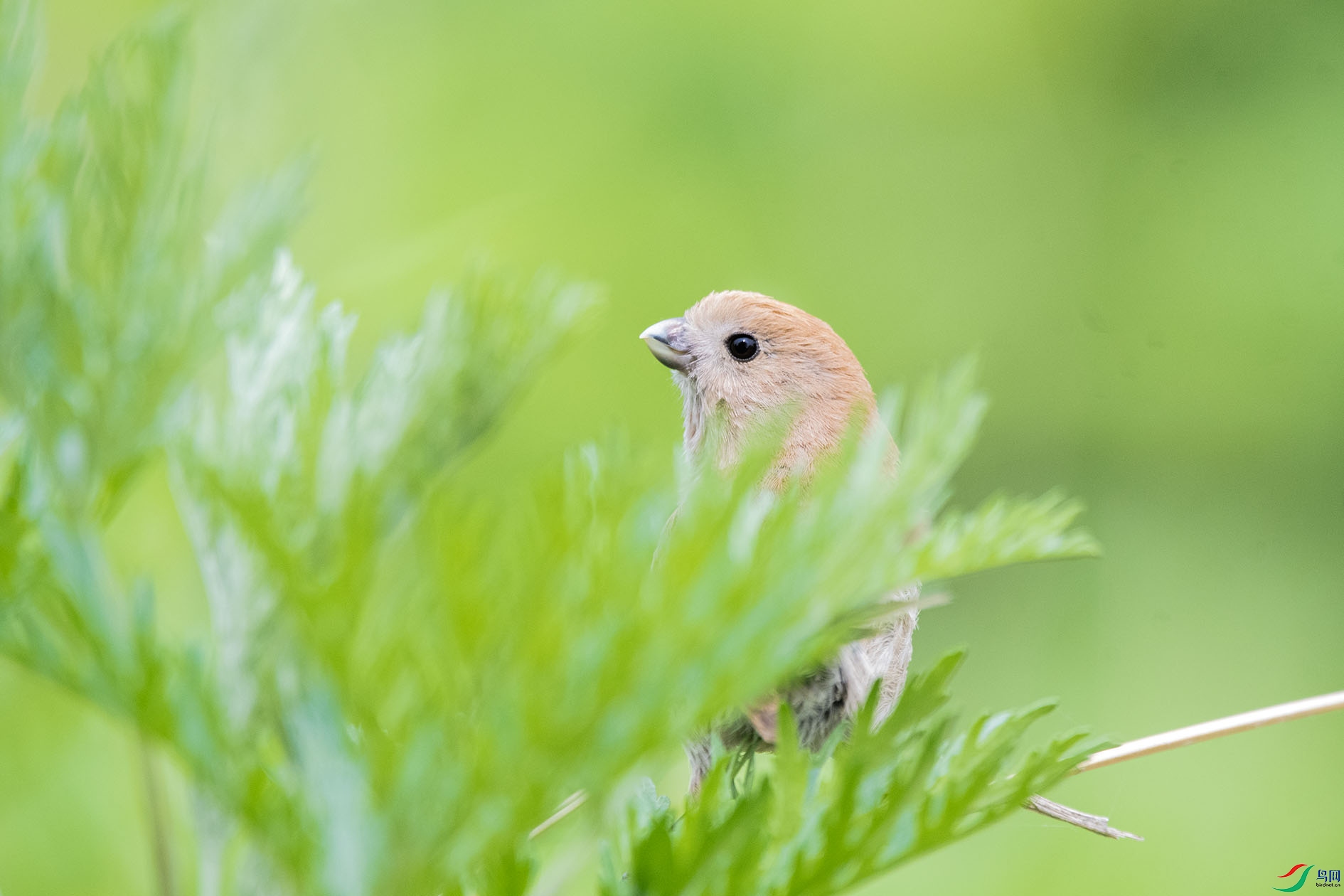 DSC_3063_��ͼ�� ����.jpg